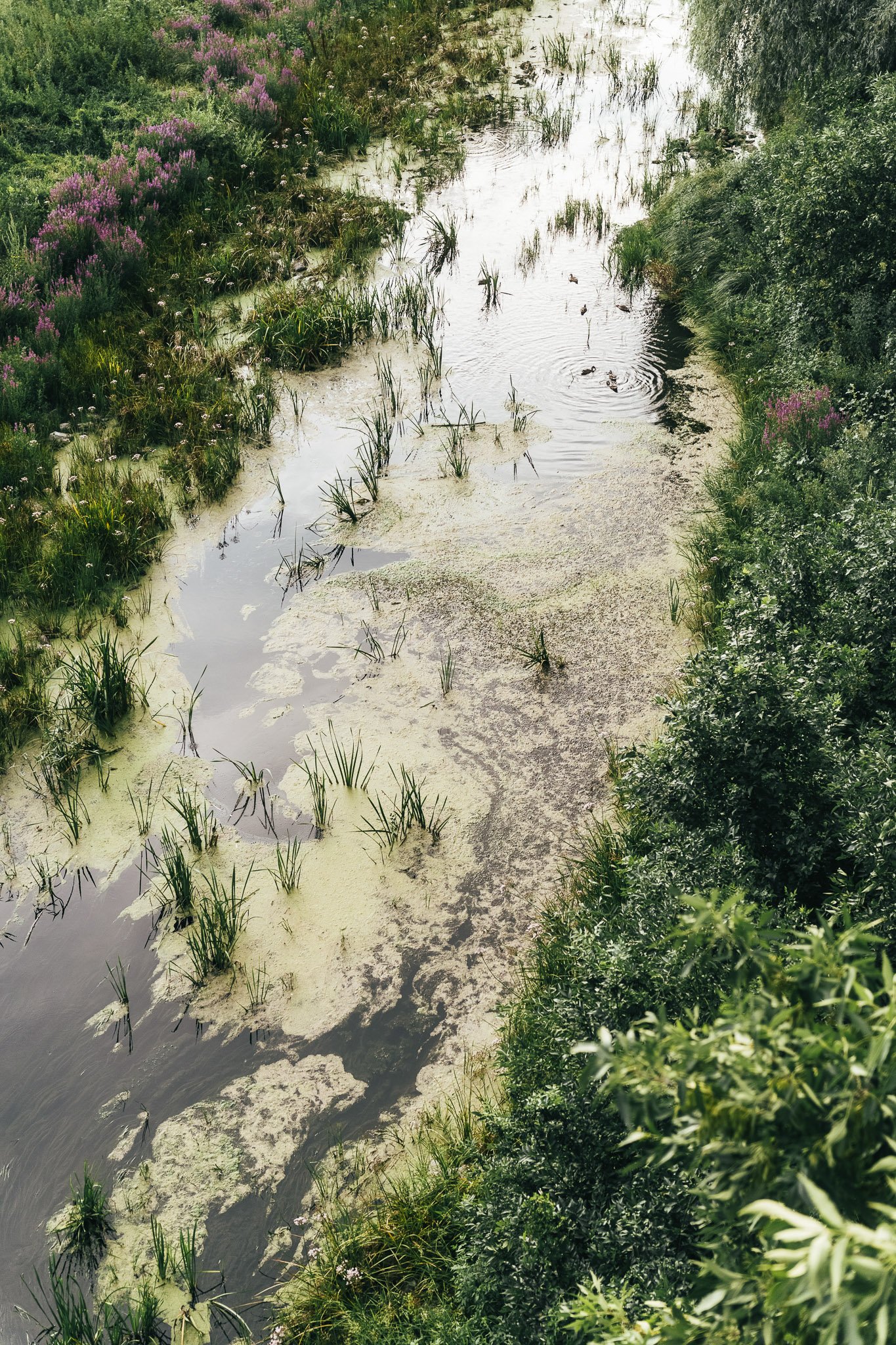 brandfotozas-szolnok-var-24.jpg