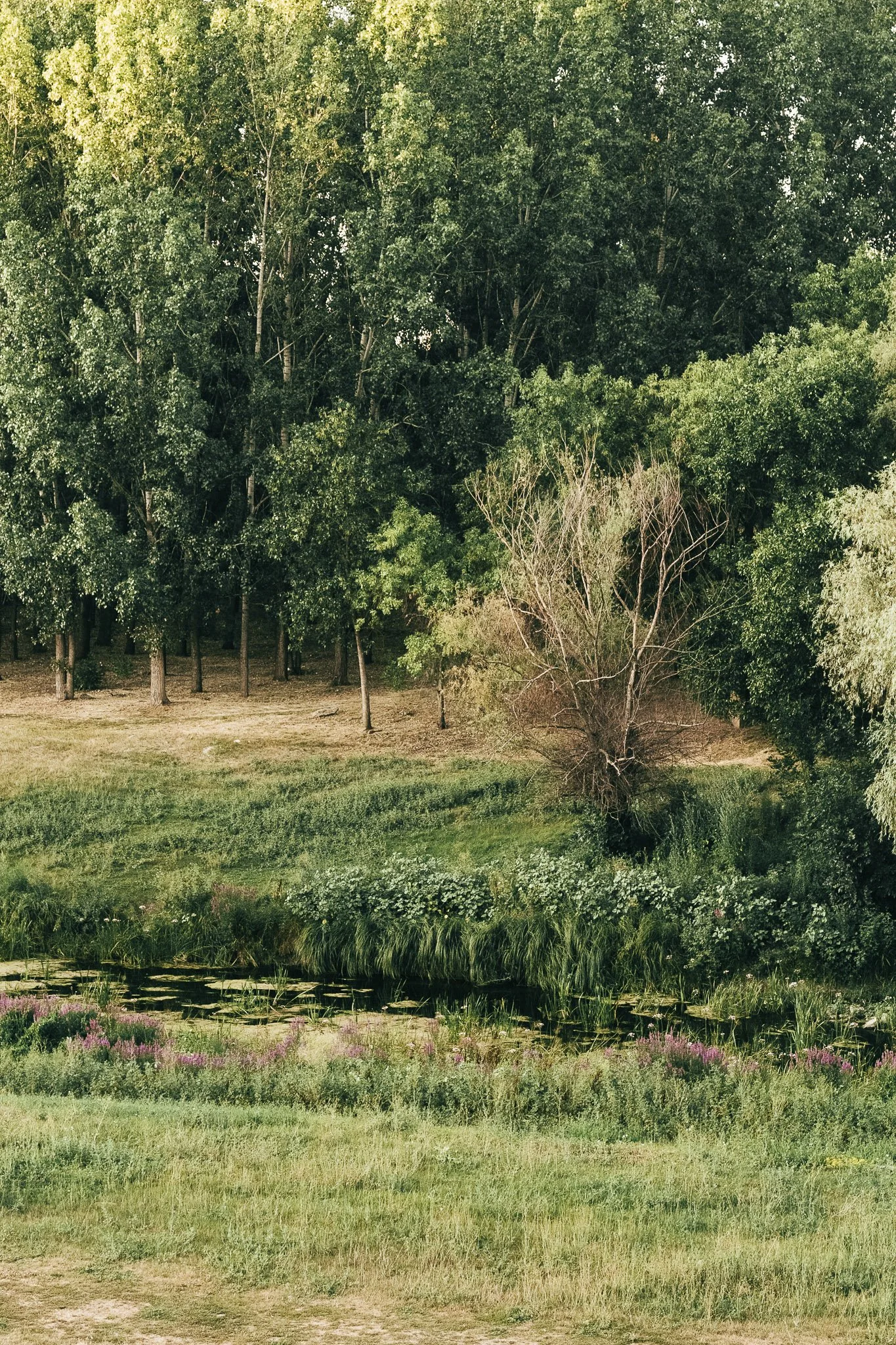 brandfotozas-szolnok-var-27.jpg