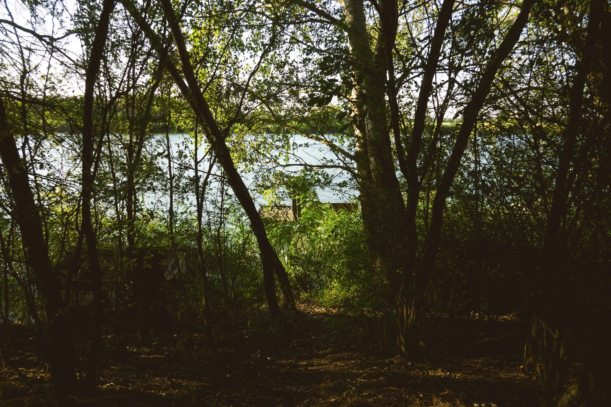 reka-moodfoto-16.jpg
