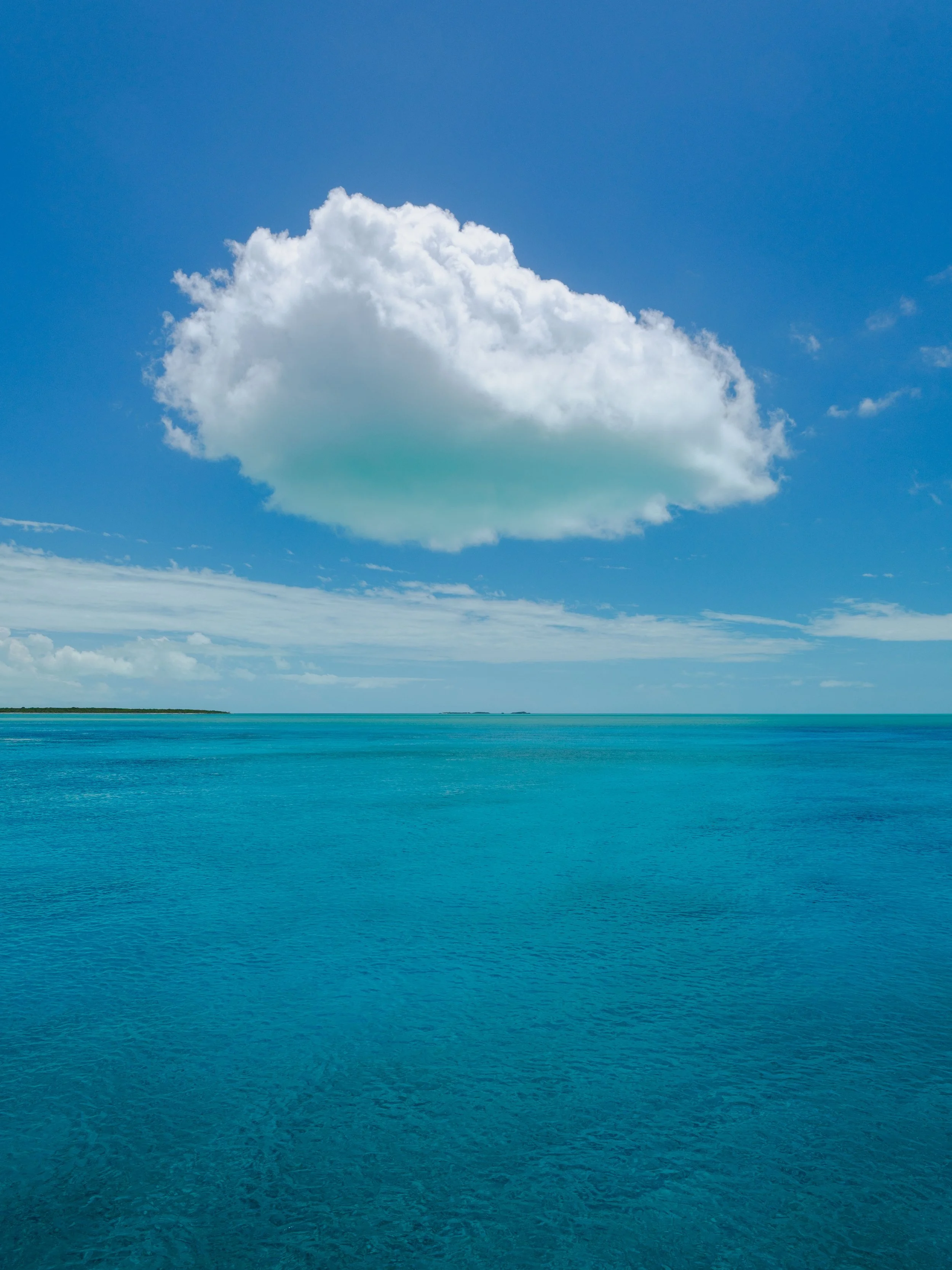 DSCF6806.jpg