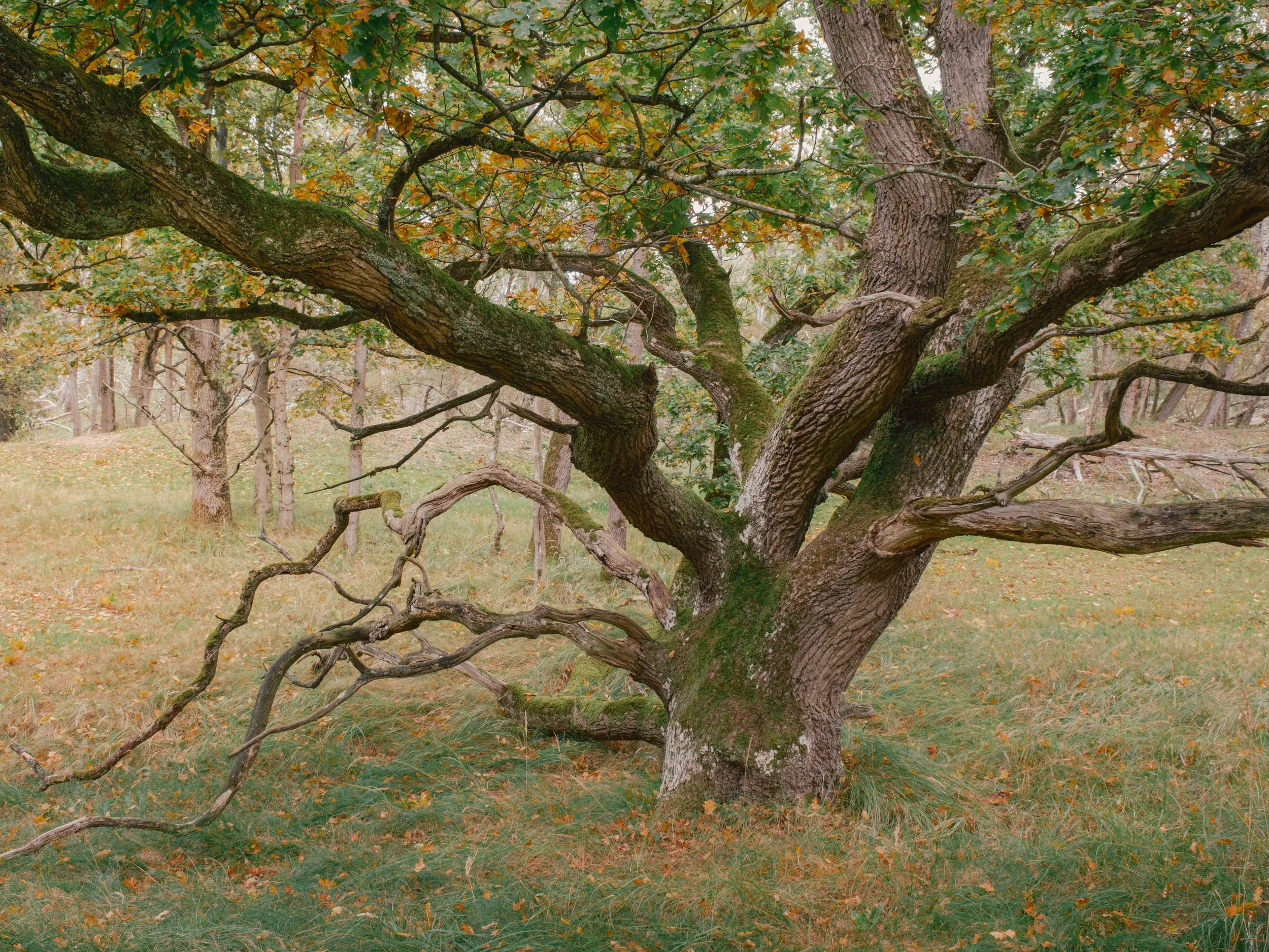DSCF2802.jpg