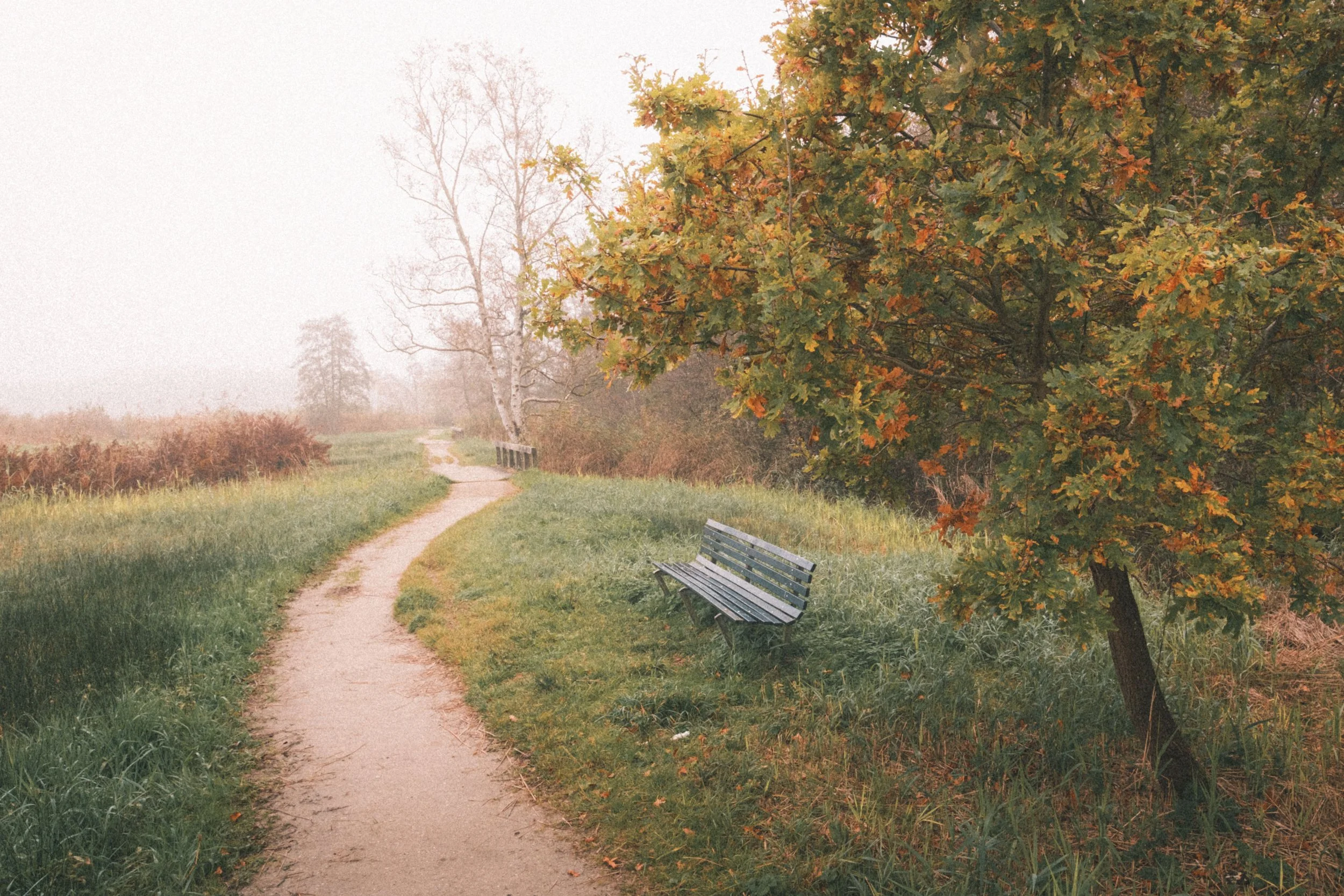DSCF6592.jpg