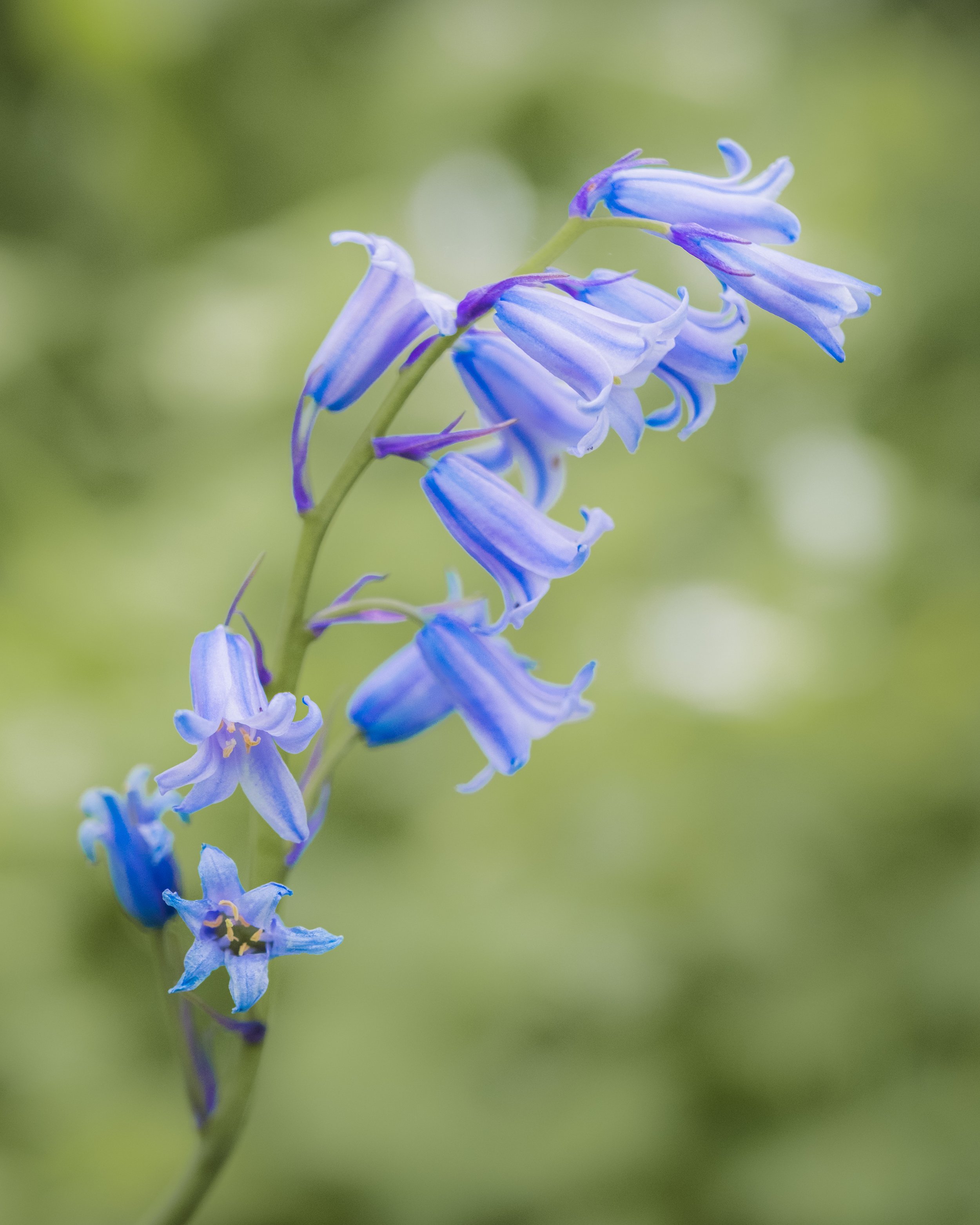 DSCF6988.jpg
