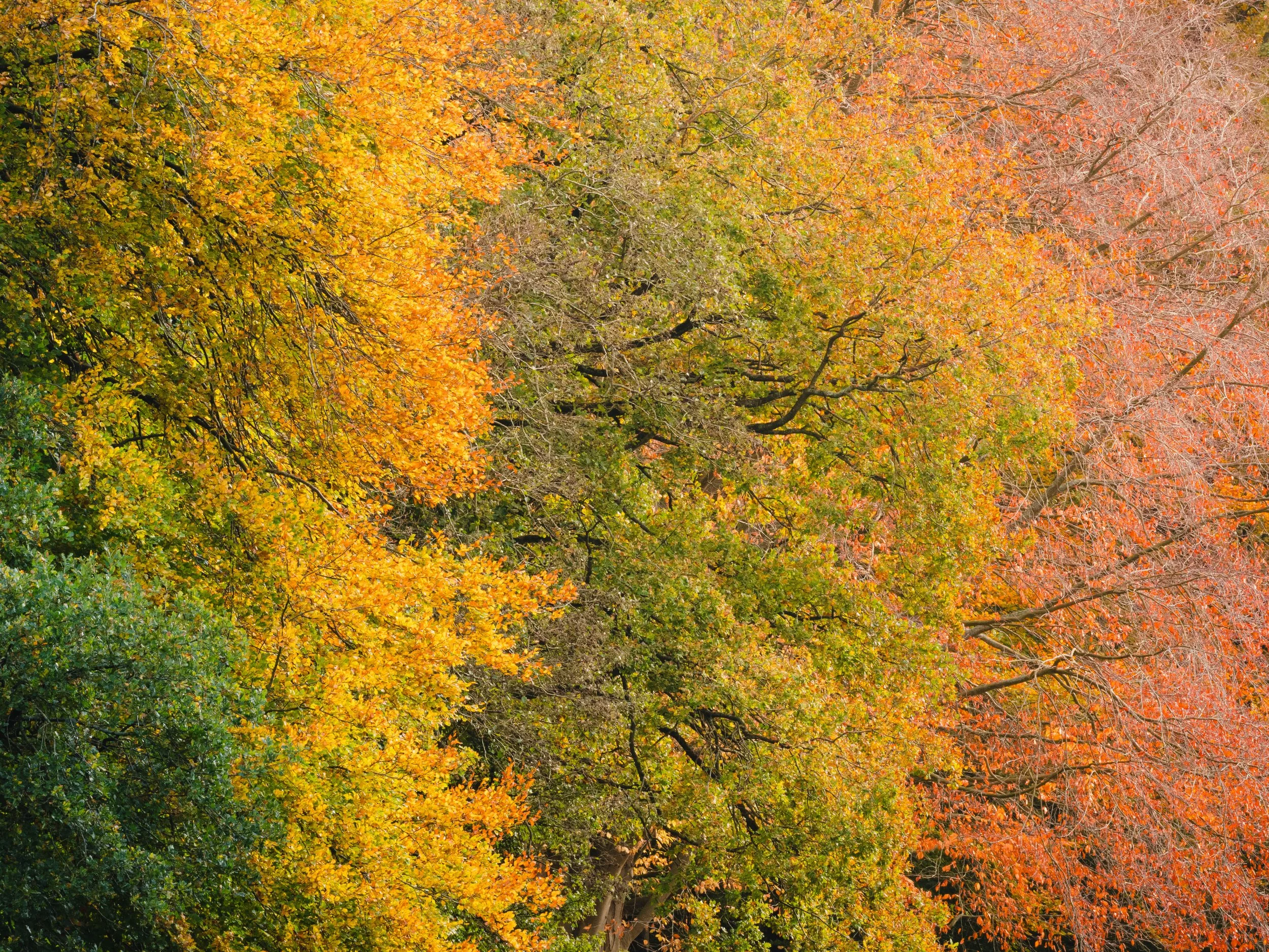 DSCF3544.jpg