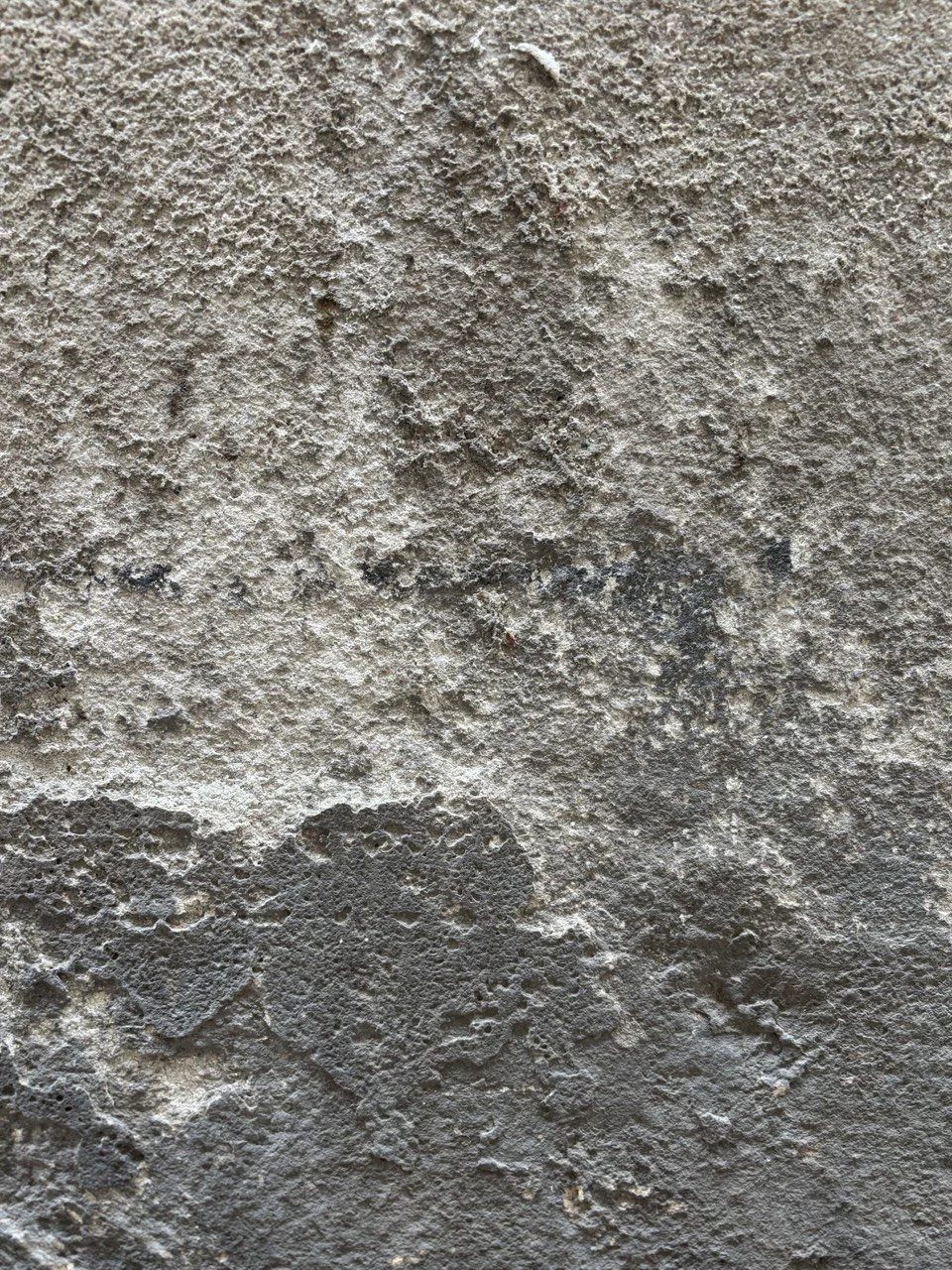 IMAGE 2026-02-20 16:40:26.jpg