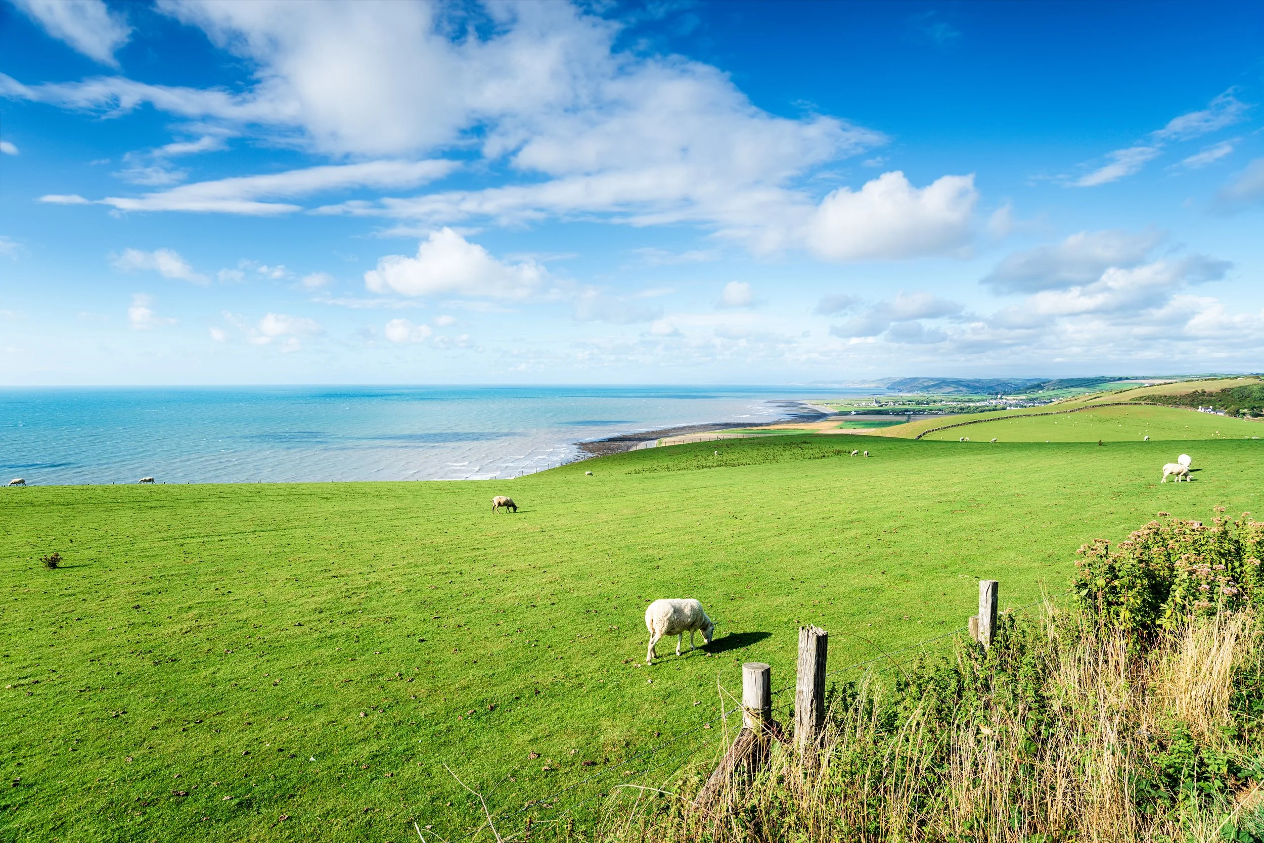the-ceredigion-coastline-in-wales-2024-10-18-05-47-10-utc.jpg
