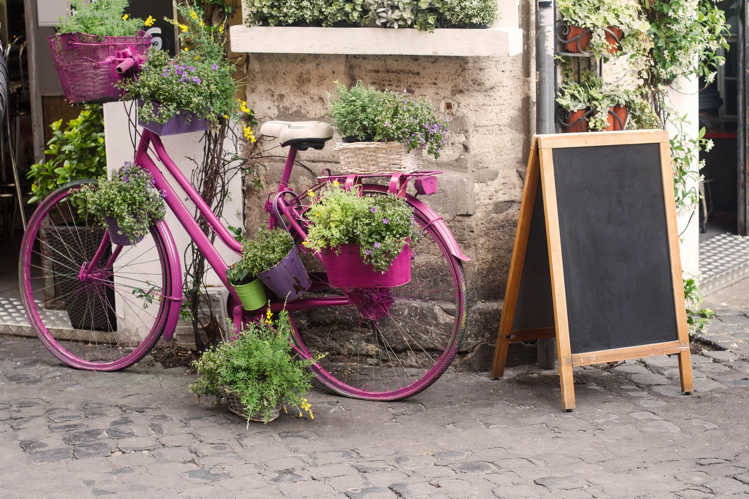 bistro-store-front-with-pink-bicycle-and-chalk-boa-2021-08-26-17-04-38-utc.jpg