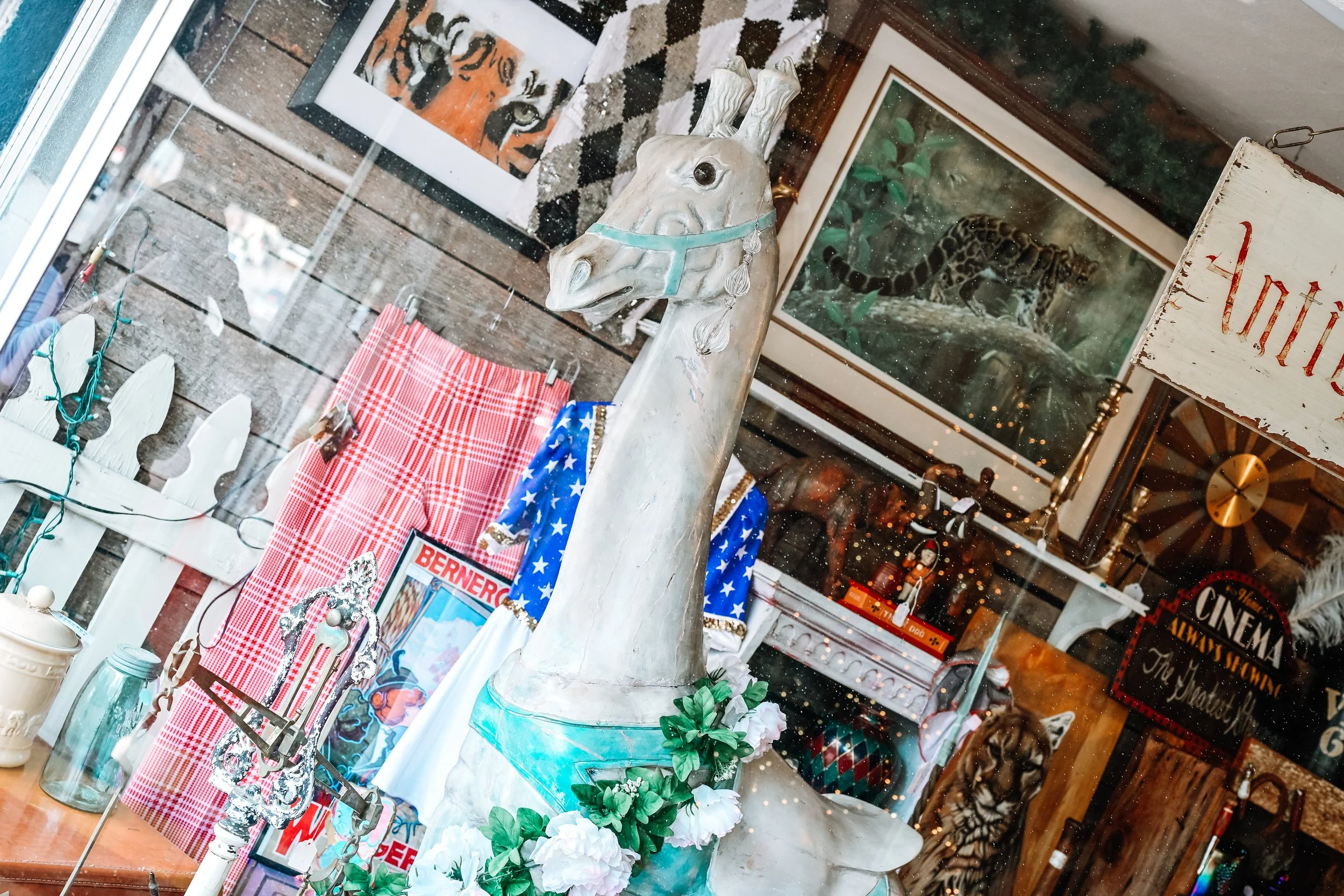 2025  NC Boone_-34_edited.jpg