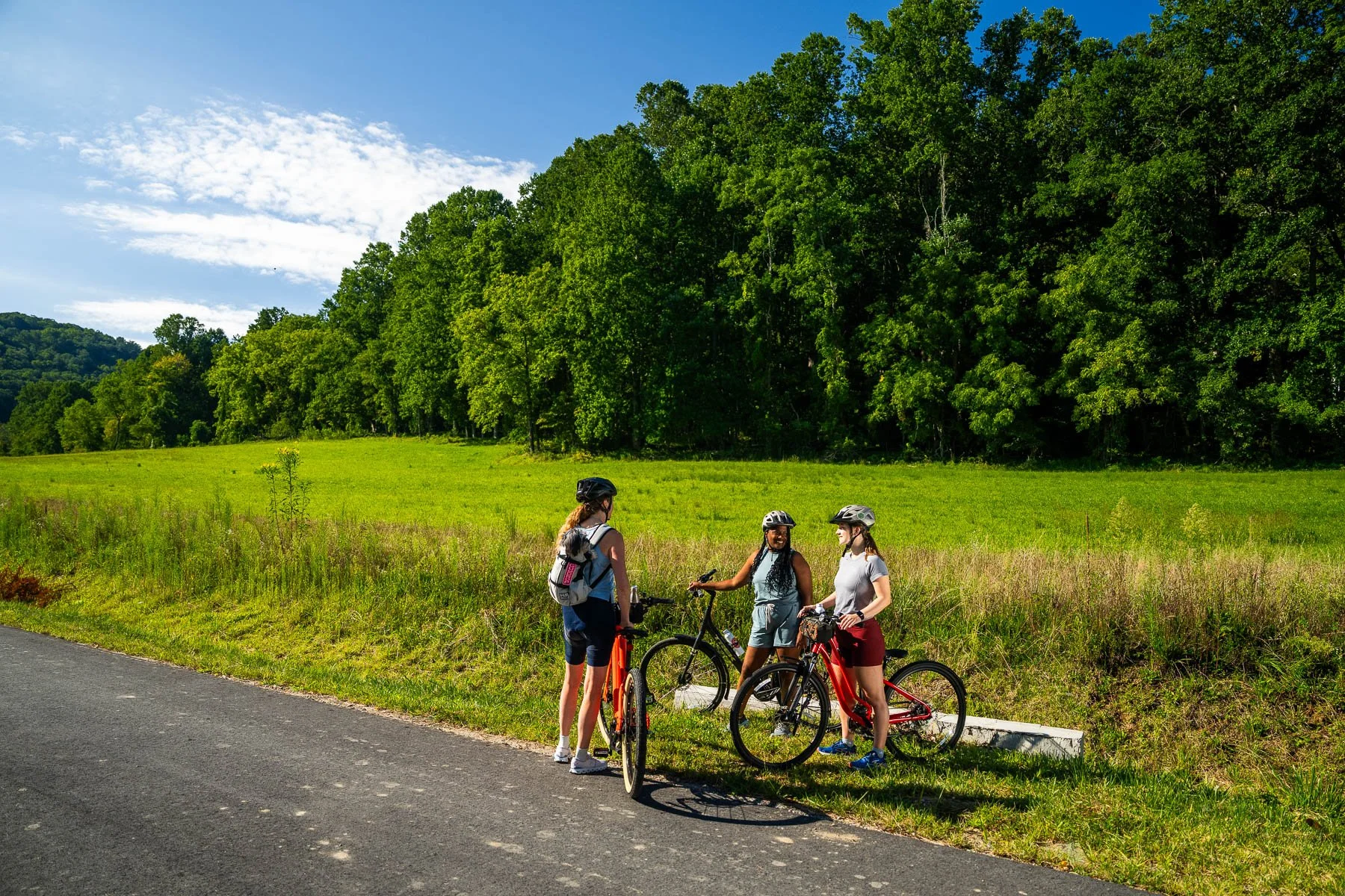 Ecusta Trail in Hendersonville