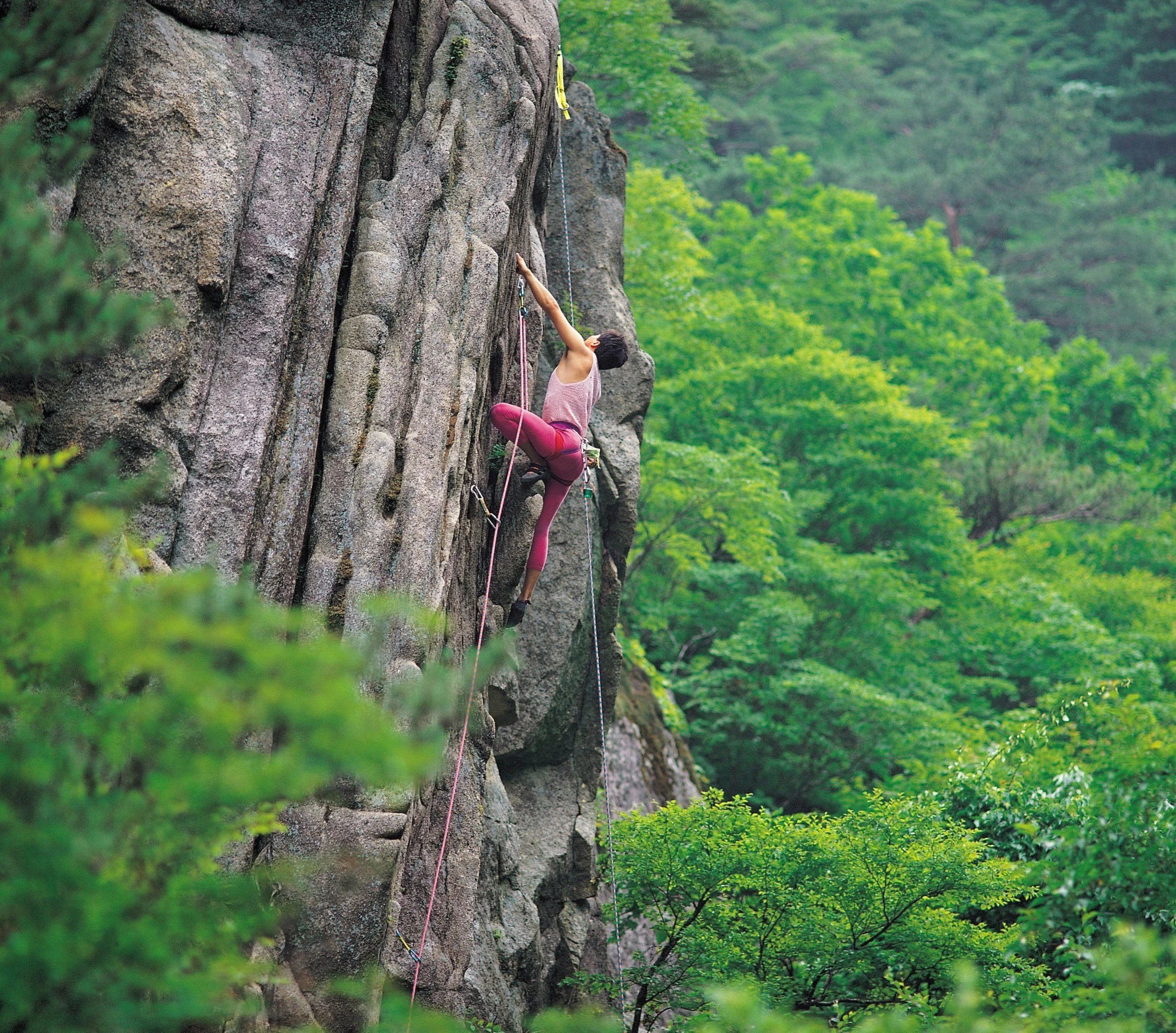 woman rock climbing in green forest surrounding