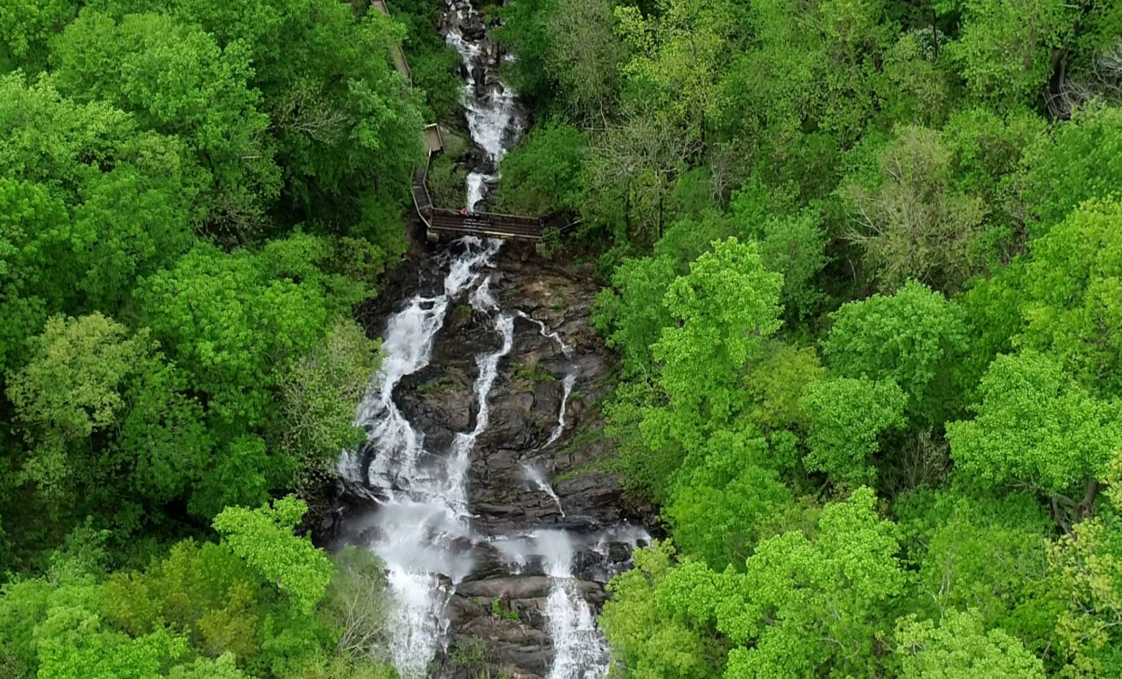 Trailhead Town Energy | You can grab coffee downtown and hike Amicalola Falls or forest trails the same day, no big plan required.