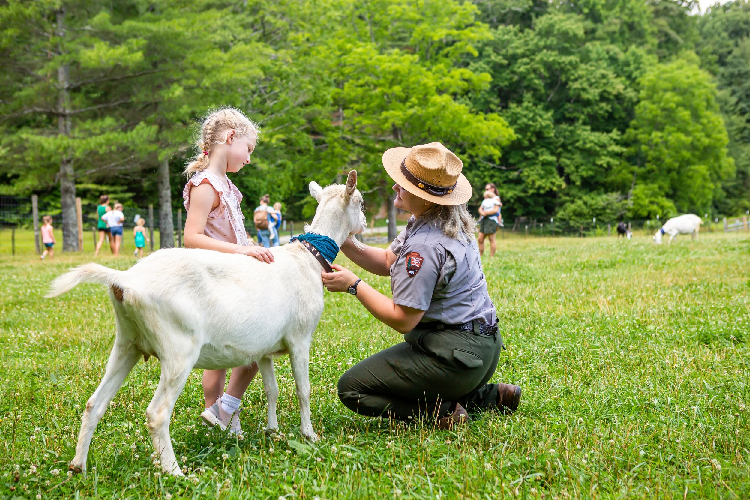 Carl Sandburg Home Goats 1734 - CREDIT Tim Robison.jpg