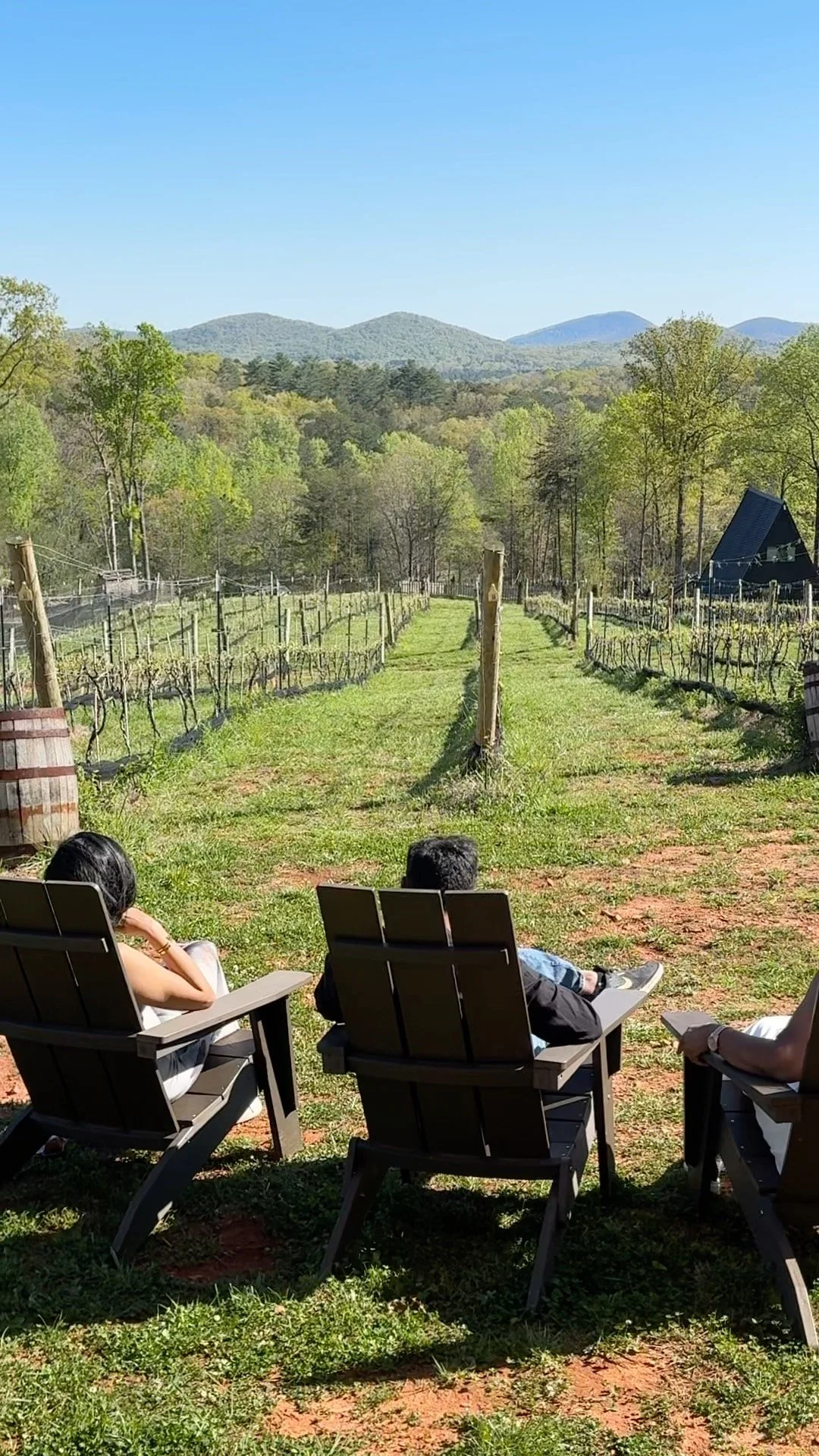 Wine Country | The heart of the vineyards and wineries of North Georgia