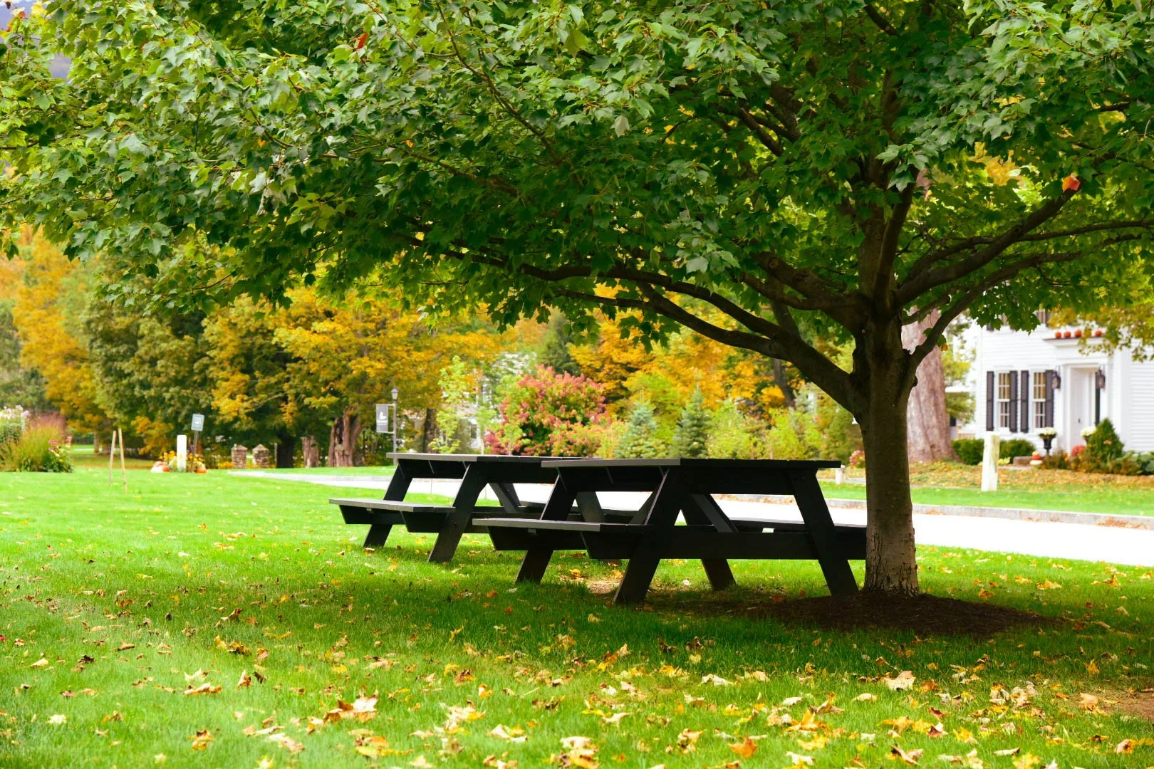 Tables on the Dorset Green