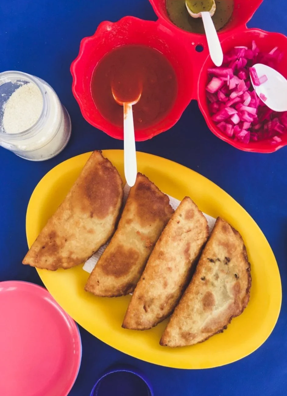 Charred red pepper chicken empanadas