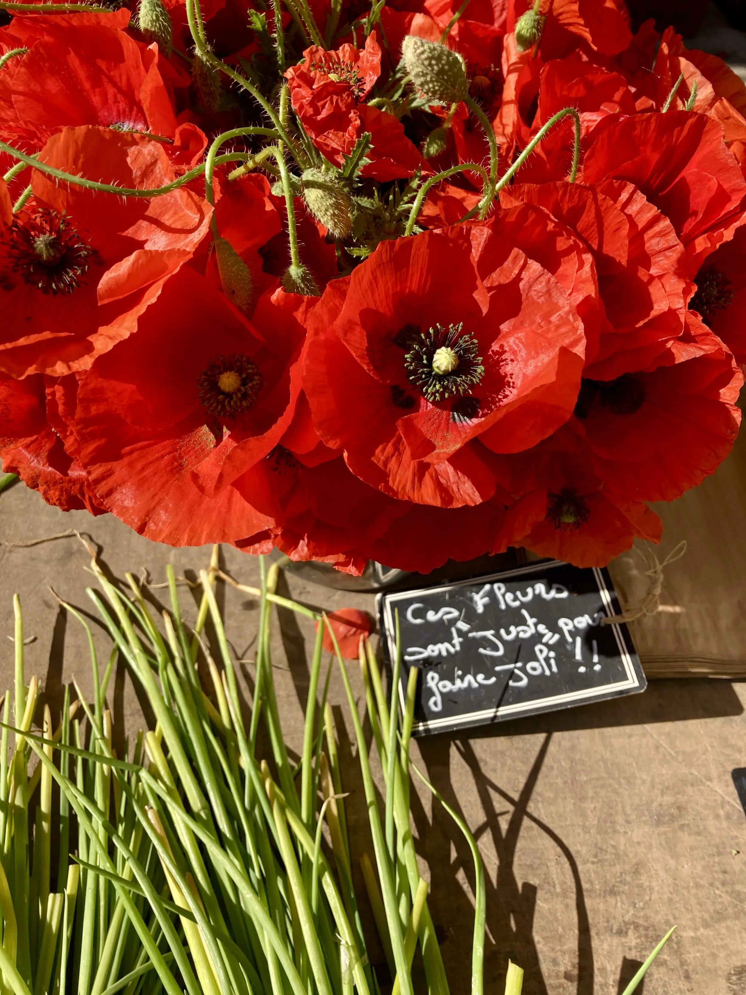 coquelicot.jpg