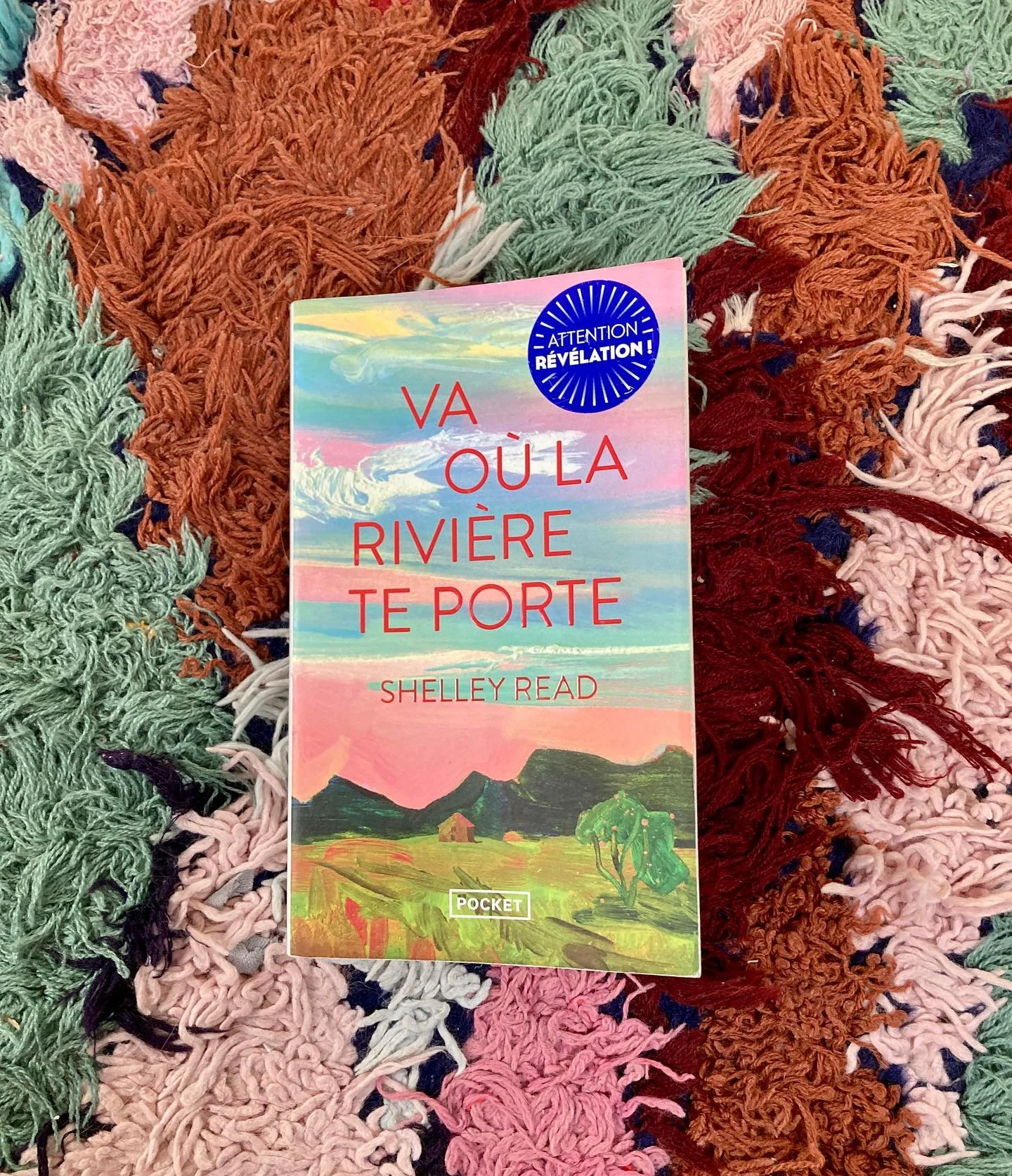 Nouvelle chronique litt&eacute;raire dans le salon-biblioth&egrave;que de Flora Bonheurs 📚🏠.

&laquo;&nbsp;Va o&ugrave; la rivi&egrave;re te porte&nbsp;&raquo; de @shelleyread.author 🌳👩🏻 aux &eacute;ditions @editions_pocket 

Bienvenue dans les 