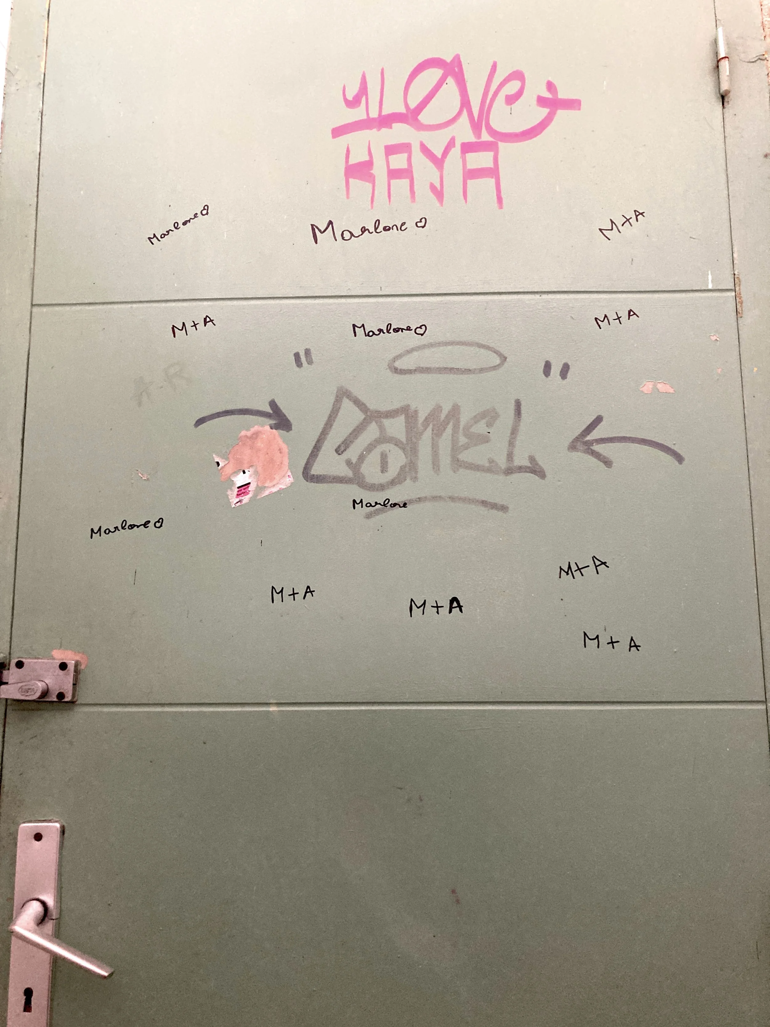 Fixette dans les Landes.