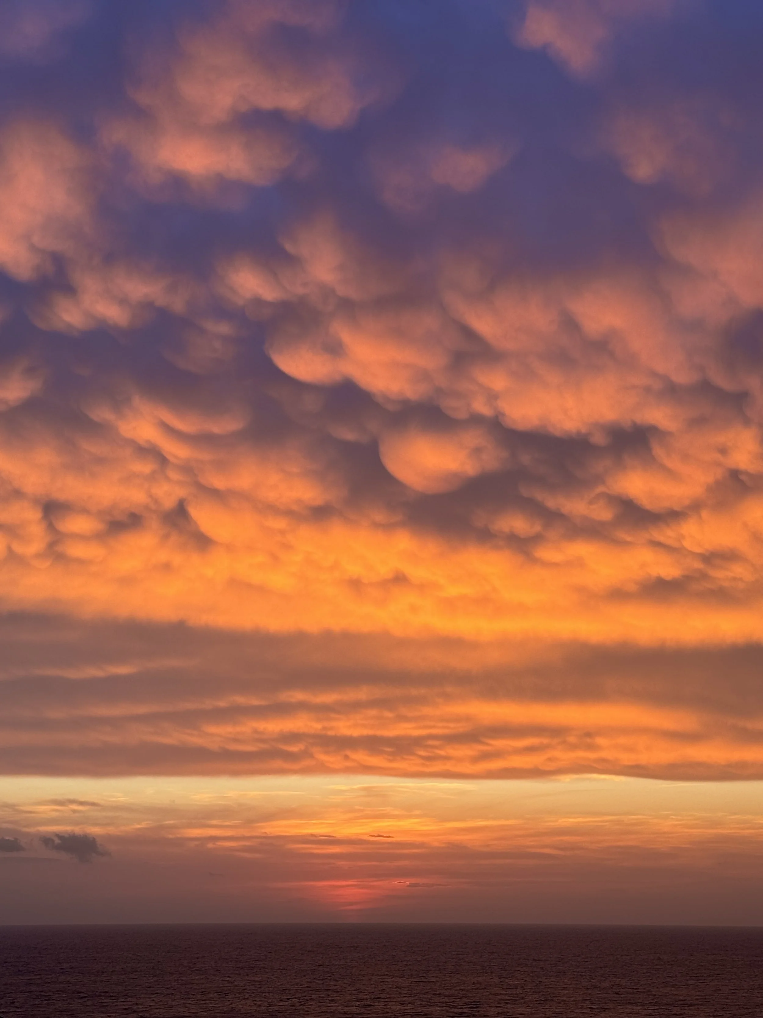 coucher de soleil flora bonheurs.jpeg