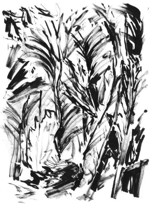 Untitled_Artwork 2.jpg