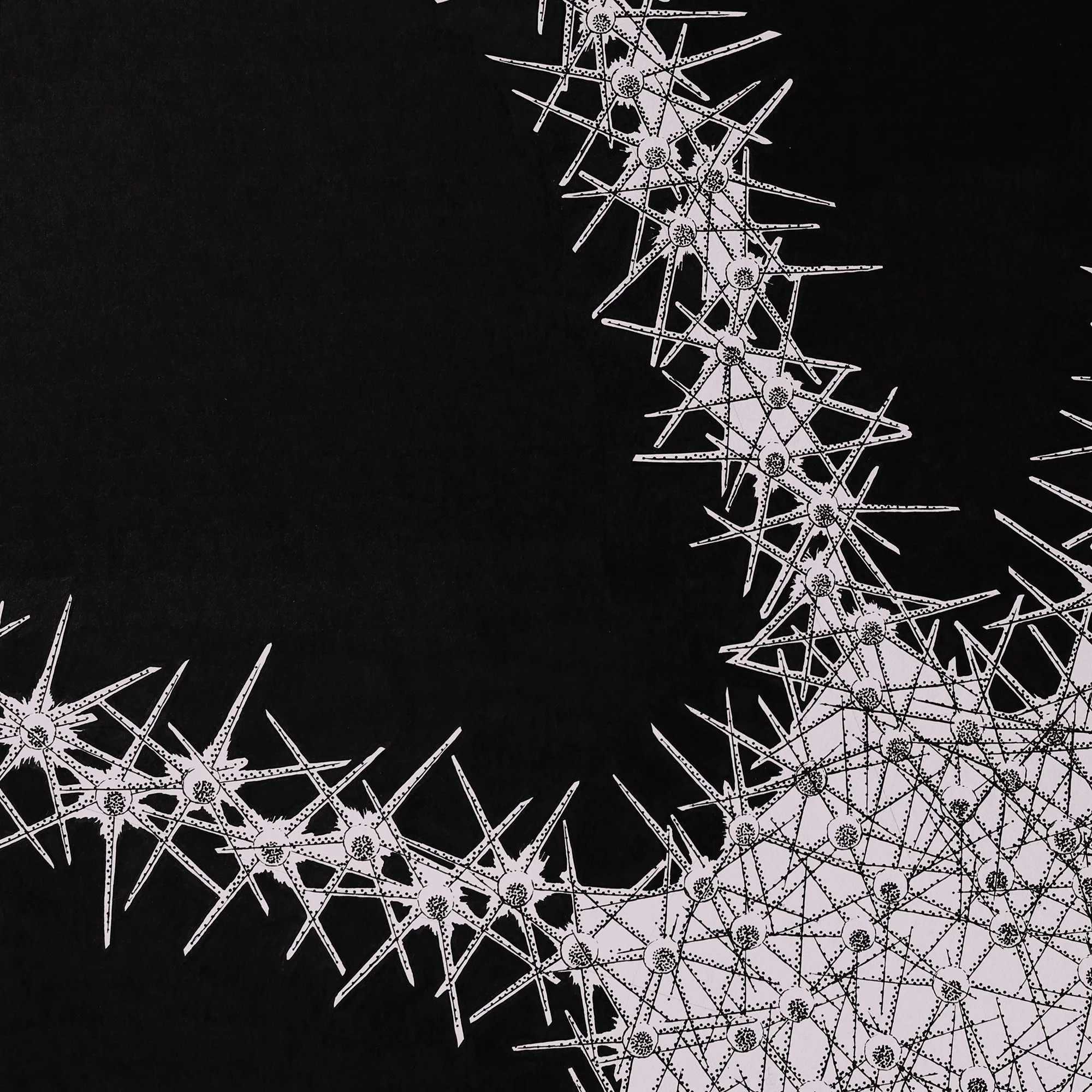 D2 cropped web.jpg