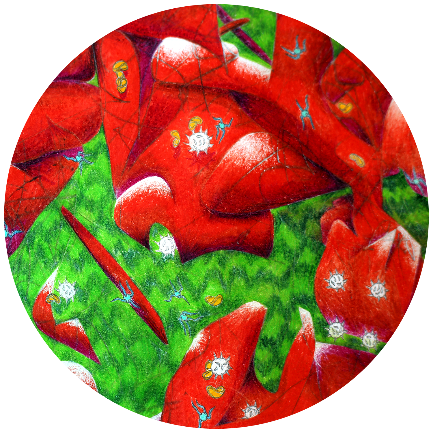 Tondo Canon Detail 1 web smaller.png