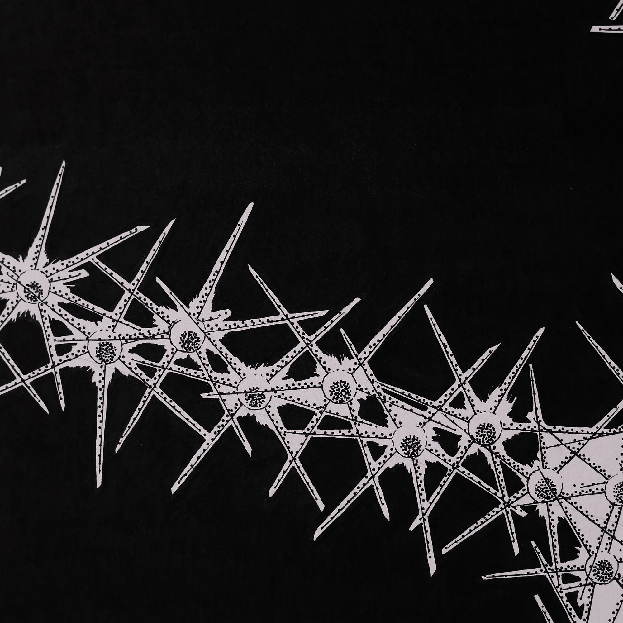 D2 detail web.jpg