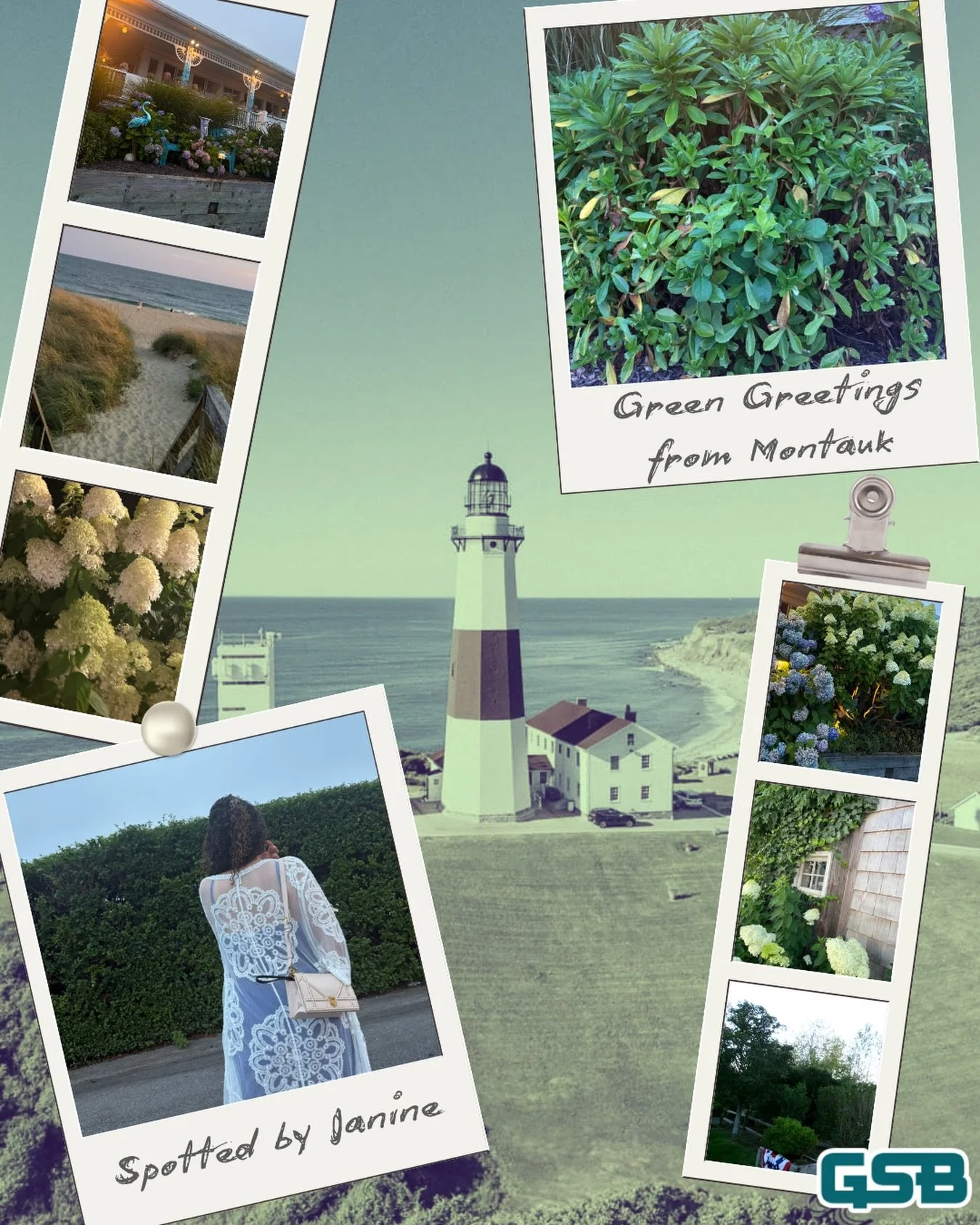 Green Greetings from Montauk! 🌿💌

From coastal views to blooming hydrangeas, Janine found plenty of green at this seaside stop.

Follow along to see where Green Greetings goes next, and reach out when you&rsquo;re ready for bookkeeping support with