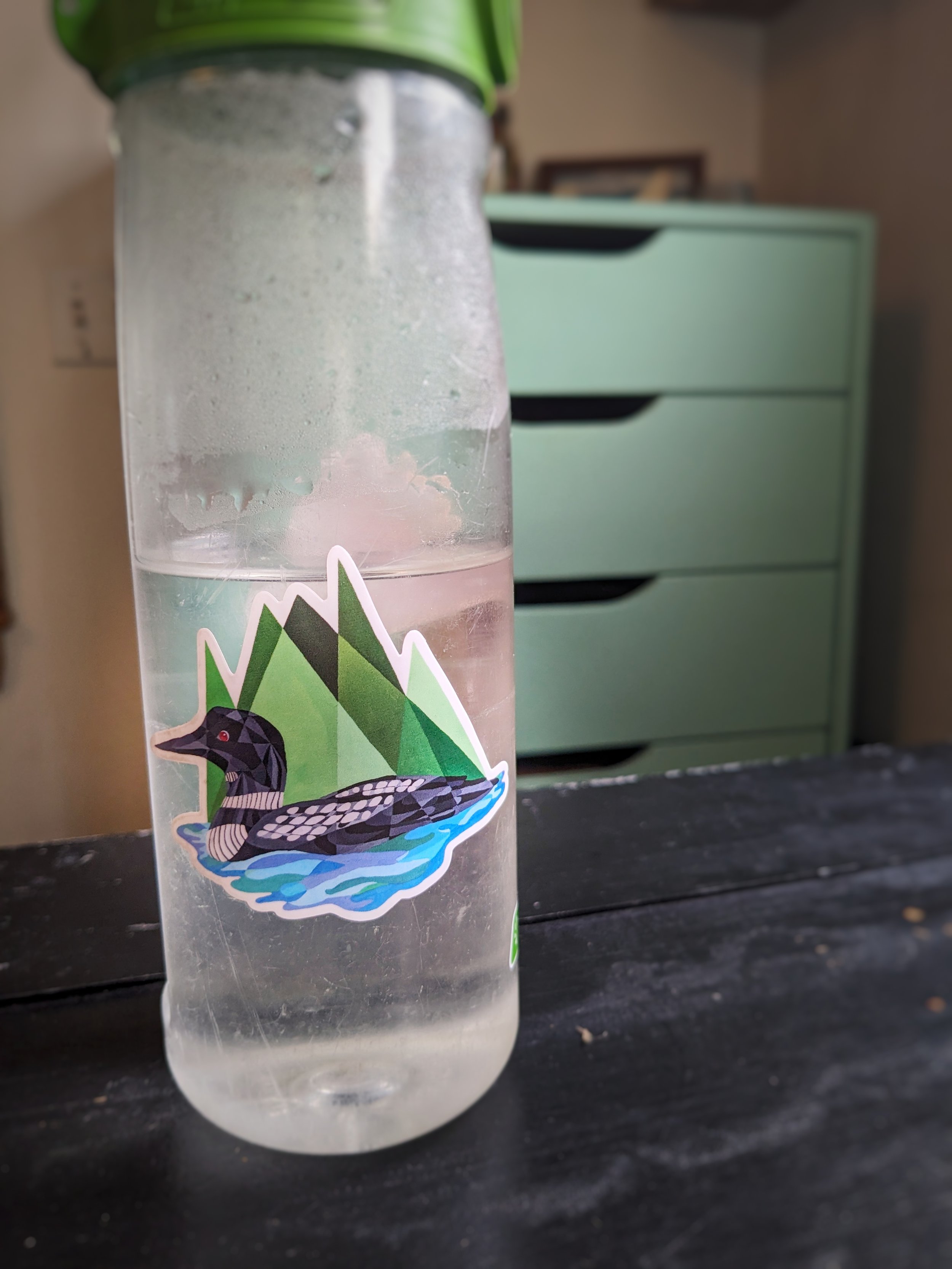 loonsticker.jpeg