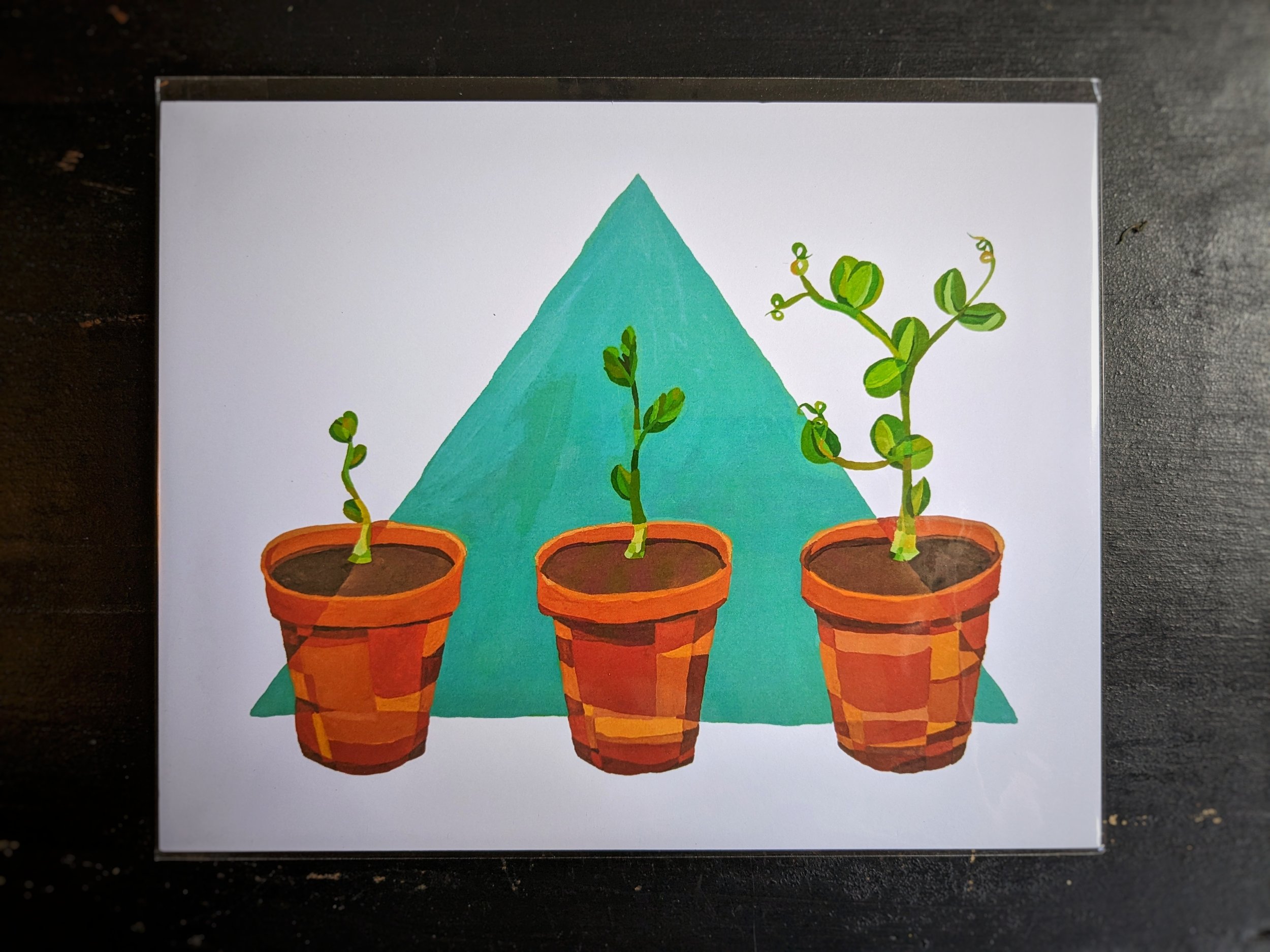 springsproutsprintunframed.jpeg