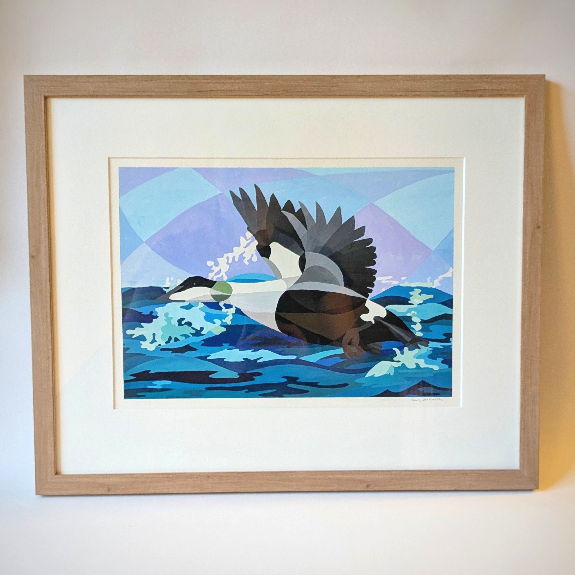 Common Eider - Framed Original Painting