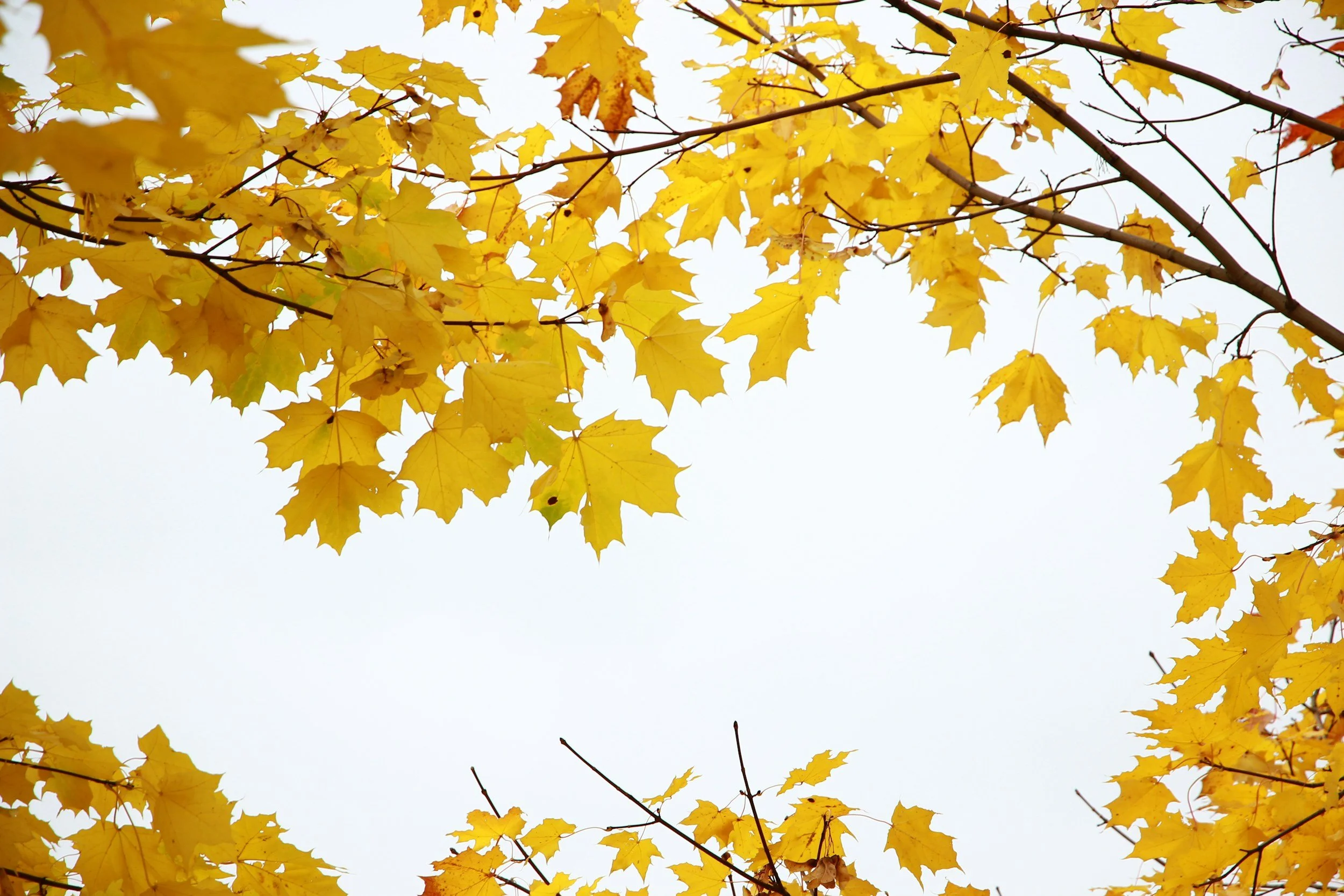 There You Go: Preparing Yourself for the Season of Fall