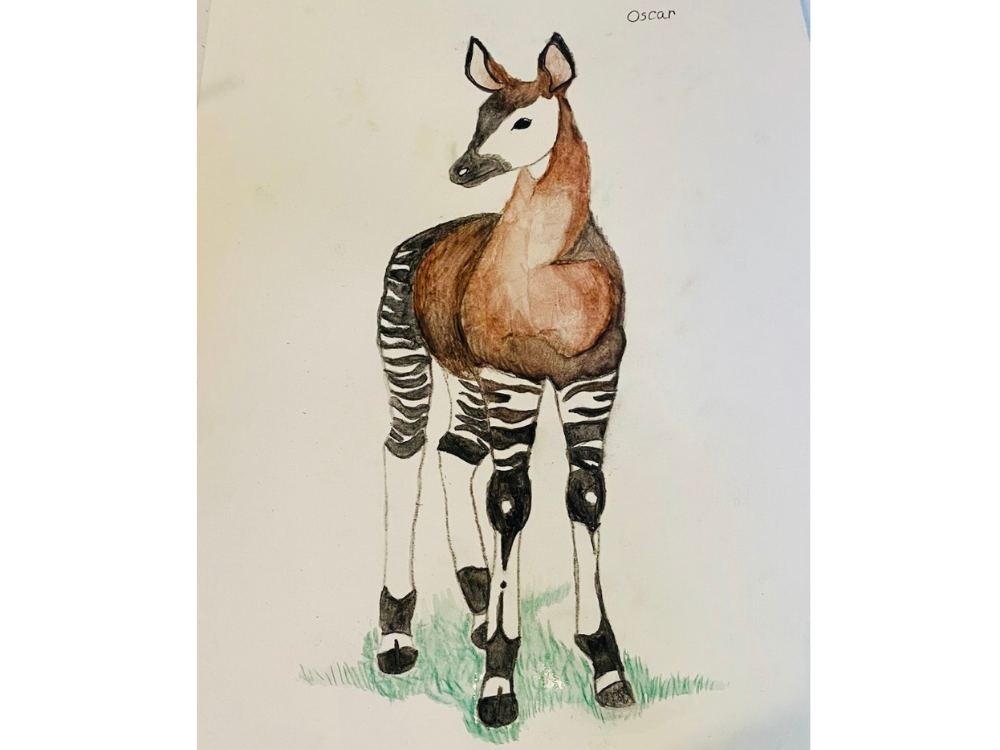 Untitled design (6).png