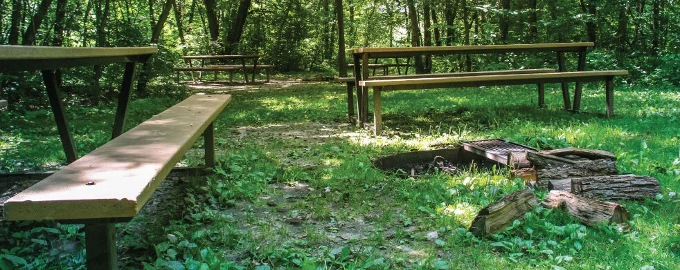 Rum River Central Canoe Campsite
