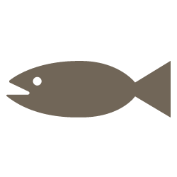 Fish Icon