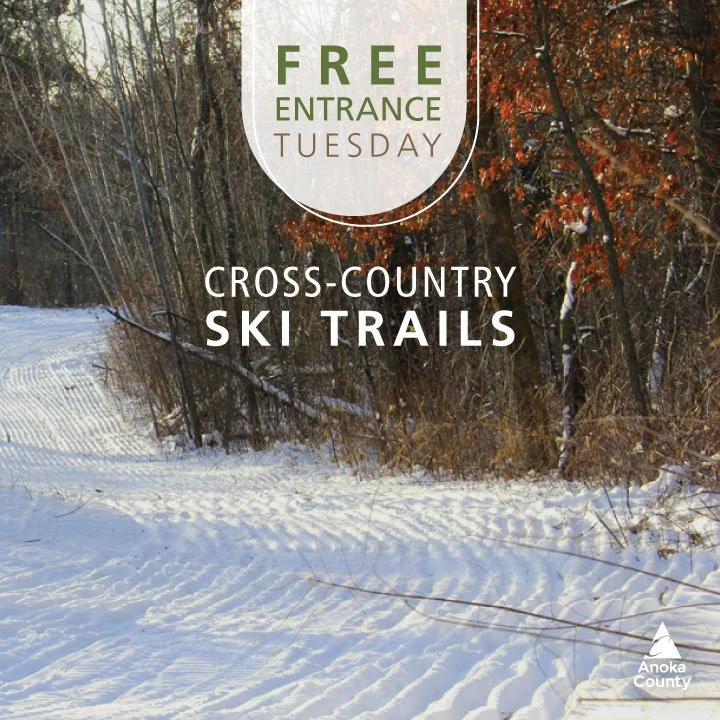 🔔 Enter all regional parks for FREE on Tuesday, December 9. 

Three regional parks will offer groomed cross-country ski trails when snow conditions permit. Bunker Hills, Rum River Central, and Rice Creek Chain of Lakes around Chomonix Golf Course. 
