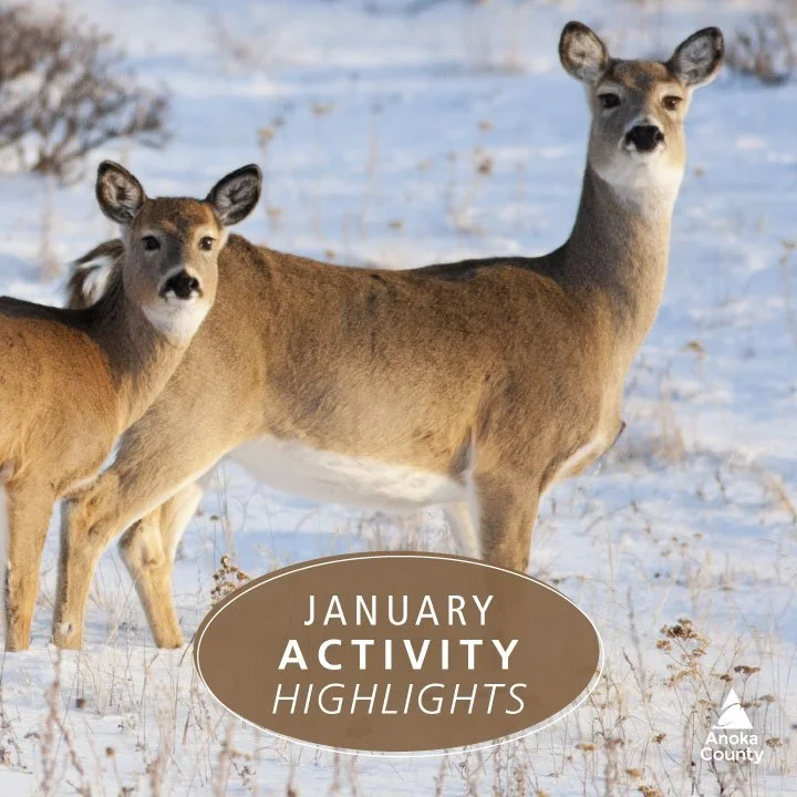 Snow has arrived and it&rsquo;s a wonderful time to explore winter around Wargo Nature Center! Check out these January activities to get you outside and enjoying the snow:

1/8 &ndash; Nature Play: Winter ☃️
Ages 2-5 + adult $6/child | 10-11 am

1/10