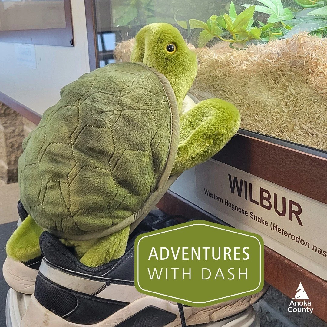 🐢 Dash is so excited that more people are visiting Wargo Nature Center. A nature center building is a peaceful place for learning and exploration. Here are Dash&rsquo;s tips for your visit:
 
🔸 Get your shoes on and dress in layers so you can enjoy