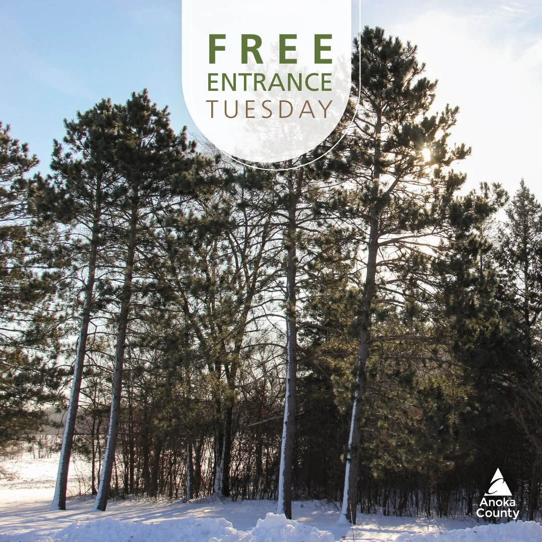 🆓 🚙 The first Free Entrance Tuesday of the year is January 13. No vehicle permit is needed to enter the parks and it&rsquo;s a great day to go explore.

It will be a busy year ahead with several major projects scheduled, including the boardwalk rec
