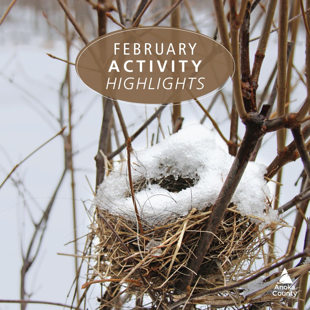 👉 Check out these February activity highlights happening at Wargo Nature Center:

2/3 - Once Upon a Storytime: Animal Homes 🪹
Ages 2+ with adult FREE | 9-10 am 

2/21 - Winter Wildlife Tracking 🐾
Ages 16+ $10/person | 10 am - 12:30 pm
