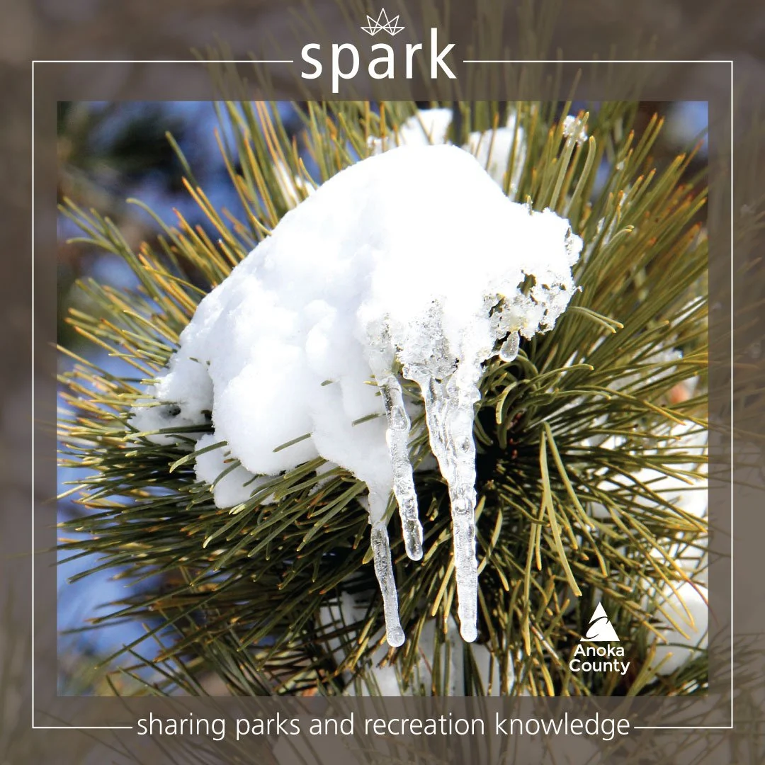 Nature is starting to show early signs of spring&mdash;brighter bird songs and that unmistakable smell of thawing earth fills the air. 

🔎 What to watch for this time of year: 

▪️ Woodpeckers drumming as they establish territories.

▪️ Owls calling