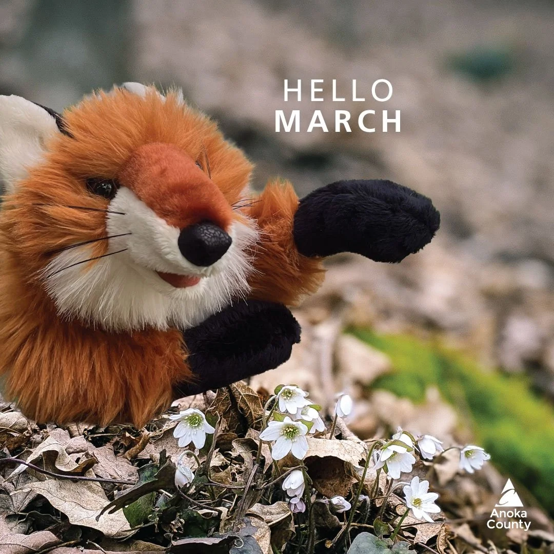 🦊 Can y&rsquo;all believe it? It&rsquo;s March already and spring is on its way! Don&rsquo;t miss these upcoming activities:

Tuesday, 3/3
FREE Once Upon a Story Time: Animals in Your Backyard 🐦

Wednesday, 3/4
FREE Lunch with a Naturalist: Phenolo