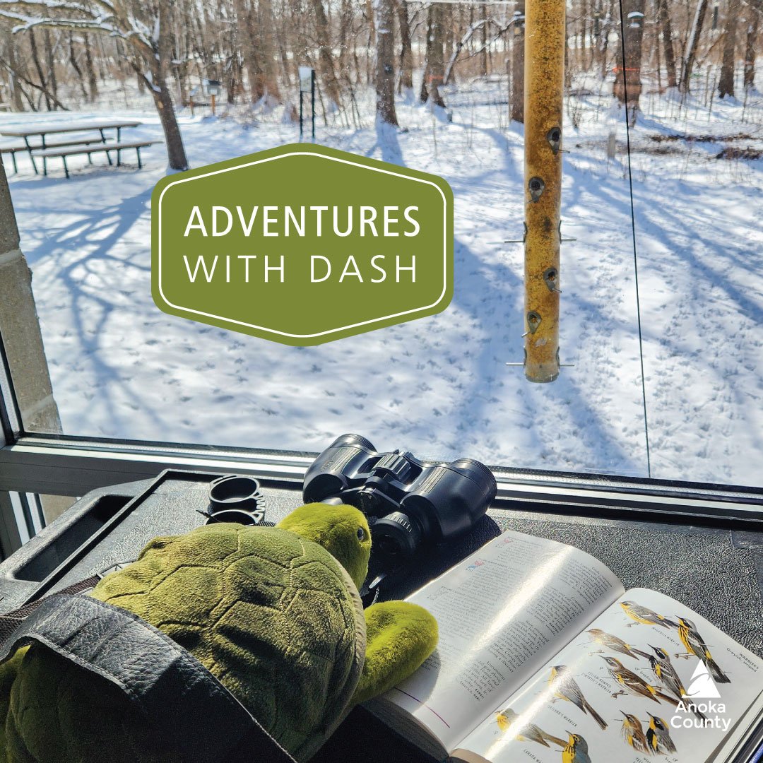Dash is excited for spring and is searching for all the signs&mdash;one of which includes migrating birds. Keep your eyes to the sky and binoculars around your neck while out adventuring. A few common birds to see migrating in March include red-winge