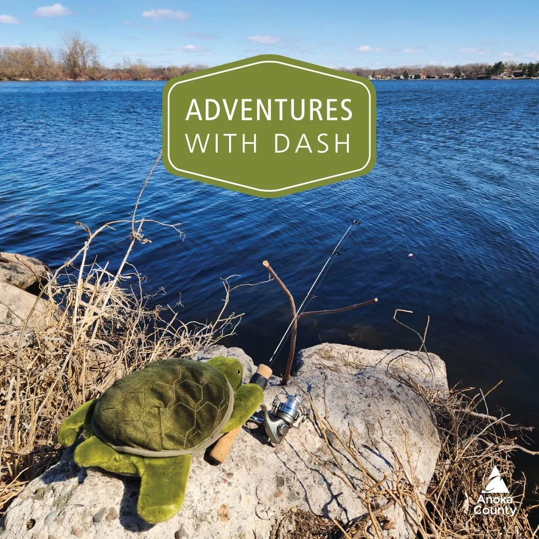 Dash is so excited the ice has melted, the temperature is growing warmer, and the sun is starting to shine. What does this spring feeling bring with it? Time for fishing! 

Dash decided to try some luck with catch and release fishing over at the Pelt