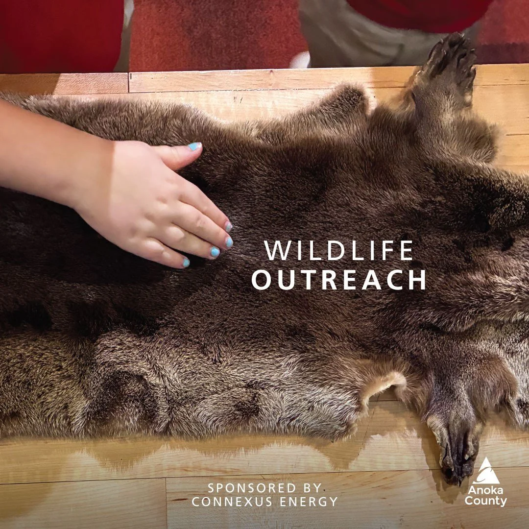 A huge thank you to @connexus.energy again for sponsoring this year&rsquo;s Wildlife Outreach program. We loved teaching 7,195 kindergarten through fifth grade students from across Anoka County about the amazing animals that call Minnesota home. 

💬