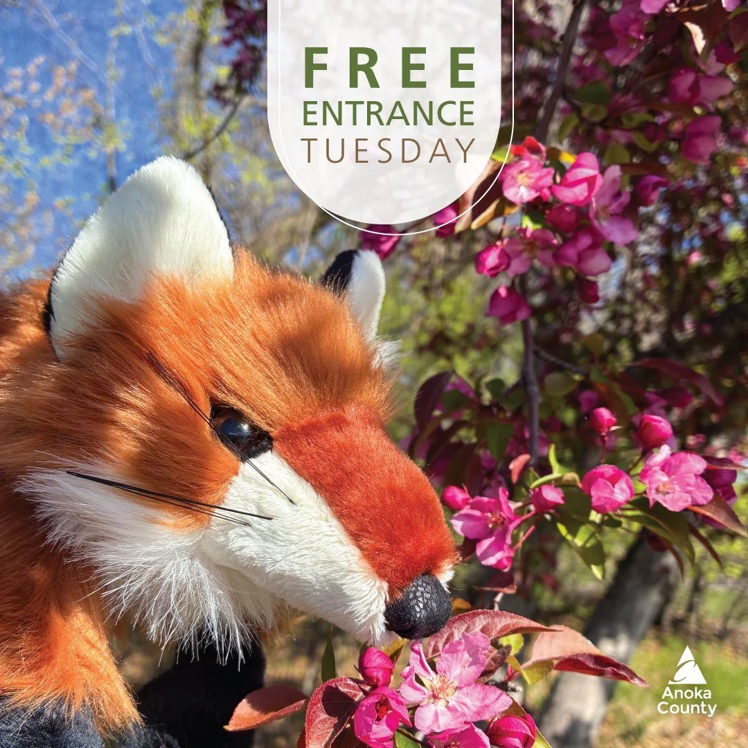 Get out and smell the spring flowers in the parks! Free entrance Tuesday is May 12 and a great day to explore. It&rsquo;s always the second Tuesday of each month.🌼

If you want unlimited access to the parks, an annual vehicle permit allows you to en