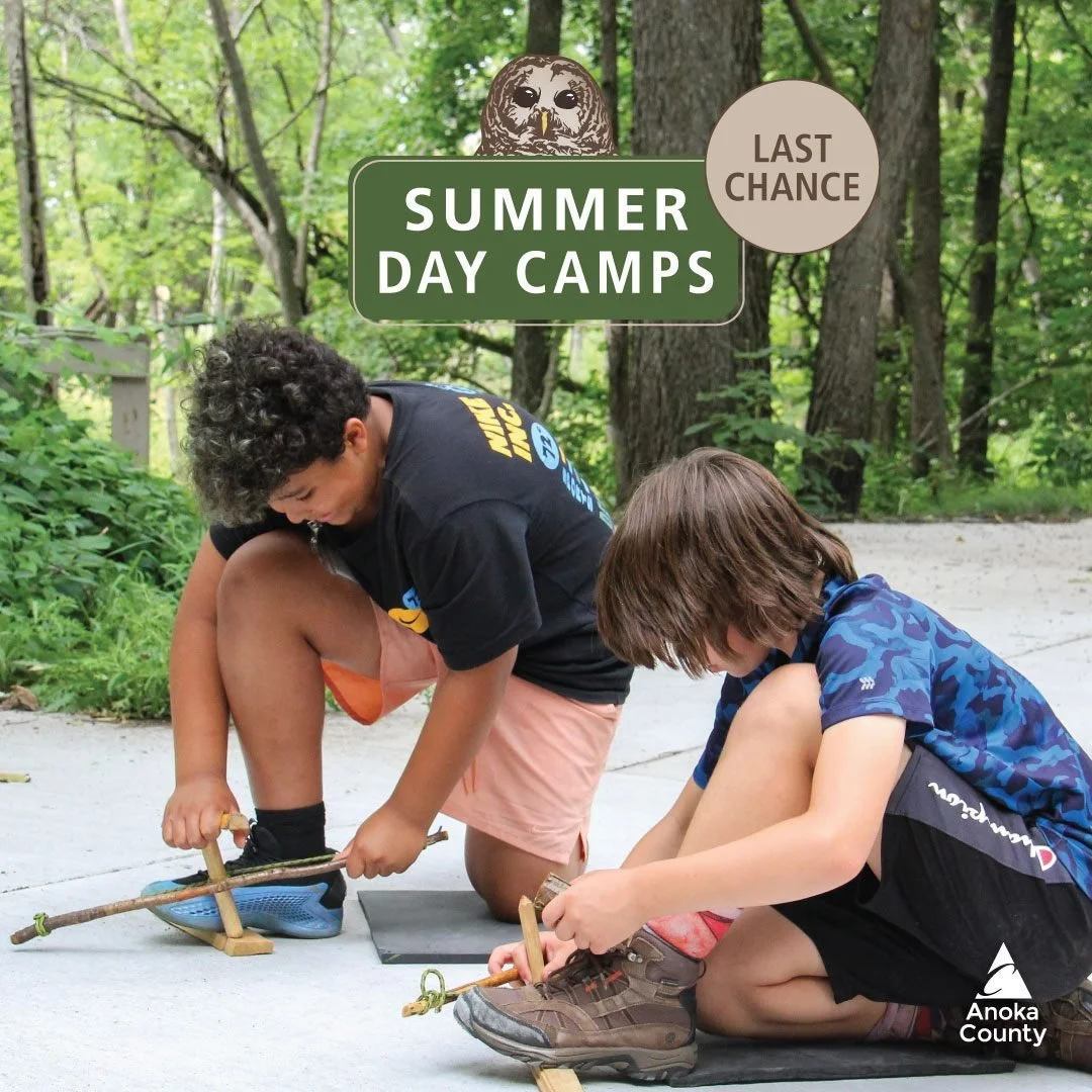 Hoo-hoo, the start of summer is almost here. Who still needs to sign the kiddos up for activities? Your last chance to sign them up for summer day camps is approaching fast. ☀️⌛ 🦉

Day Camps with Limited Availability:

AGES 4-5
6/15-6/18 - Colorful 