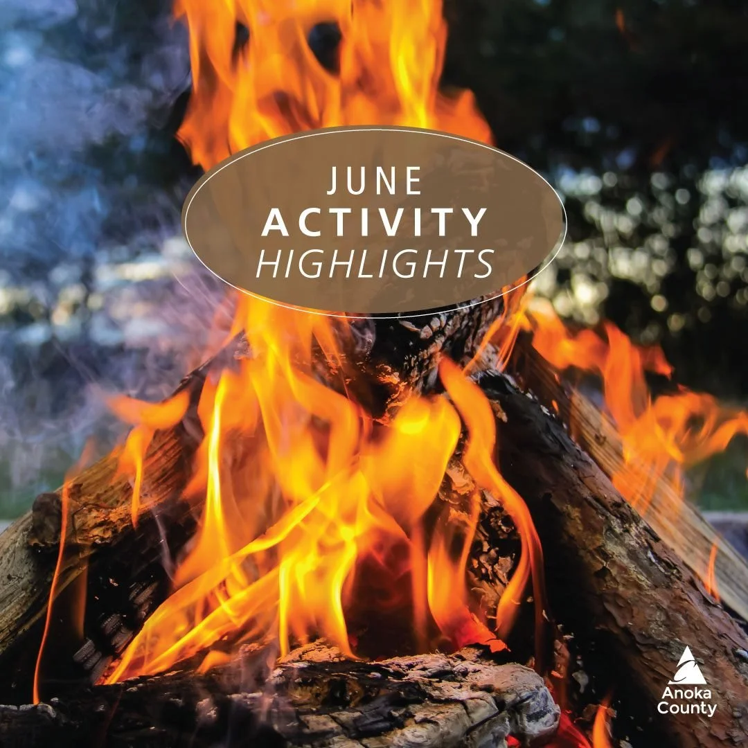 Summer has arrived! This month offers a lot of great activities to explore especially FREE options:

Once Upon a Story Time: Water Animals (Ages 2+) 🦆
6/2 &ndash; Wargo; 9&ndash;10 am

Campfire Talks: Owls (All Ages) 🦉
6/6 &ndash; Rice Creek Chain 