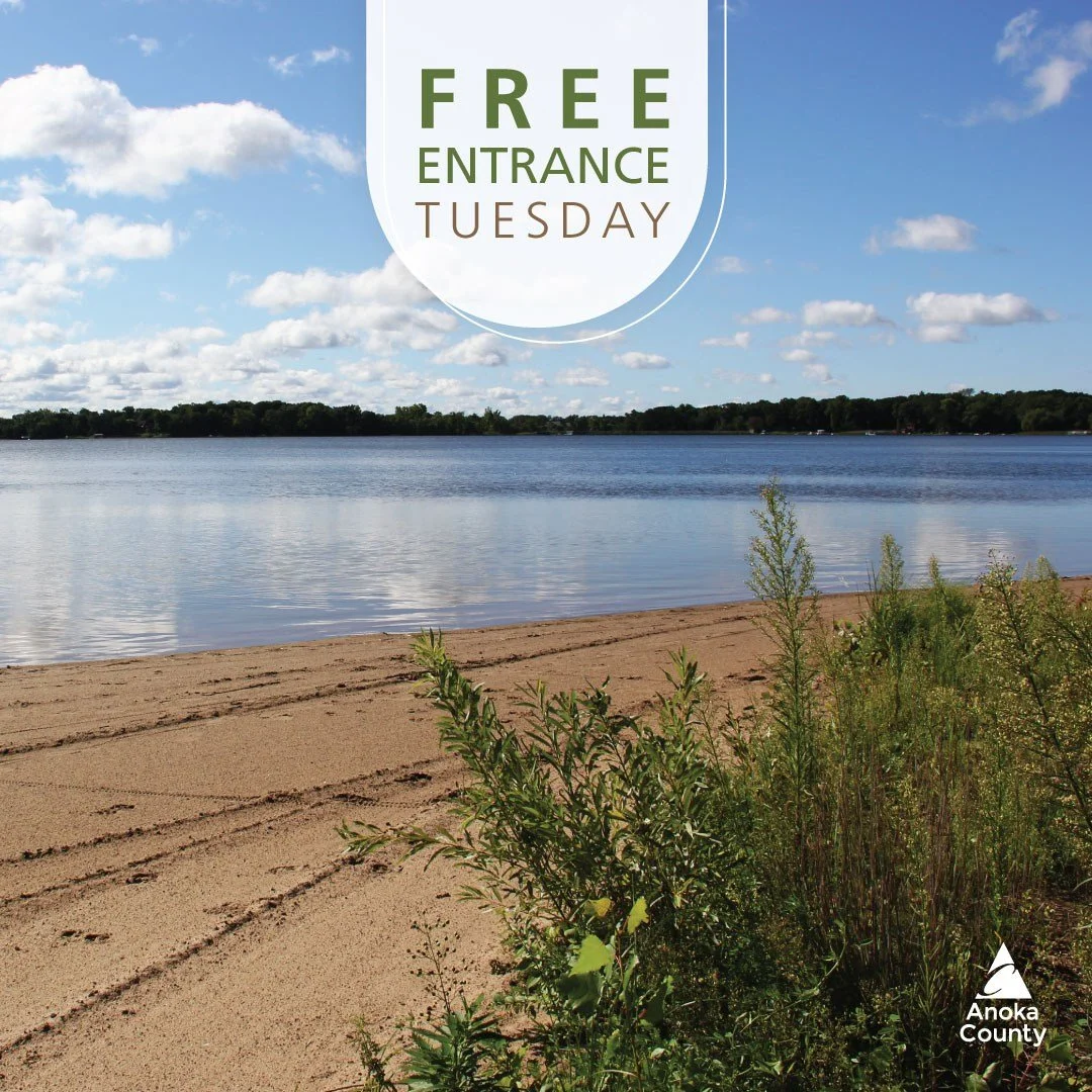 Enjoy FREE entrance into the parks on Tuesday, June 9. 😎

Now that summer is here, water is likely on your mind. There are four designated public swimming beaches to visit. 🏖️

🔹 Lake George
🔹 Coon Lake
🔹 Island Lake
🔹 Centerville Lake

There a