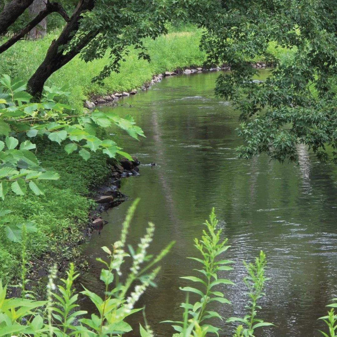 COON RAPIDS DAM REGIONAL PARK